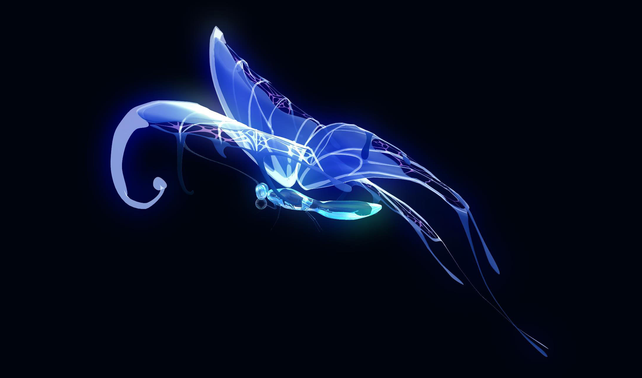 蝴蝶4k(01-alpha循环