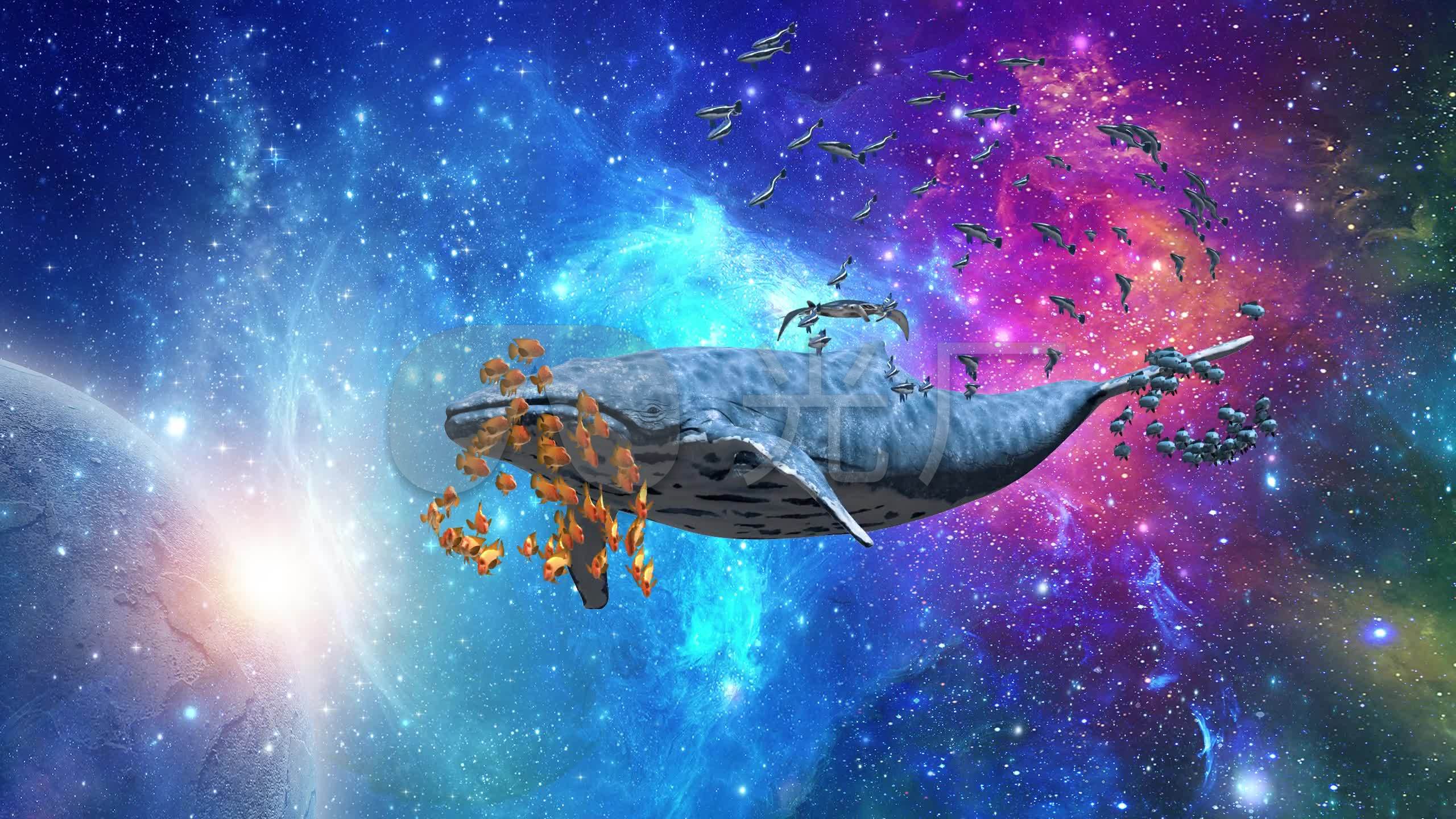 星辰大海(01)_2560x1440_高清视频素材下载(编号:)
