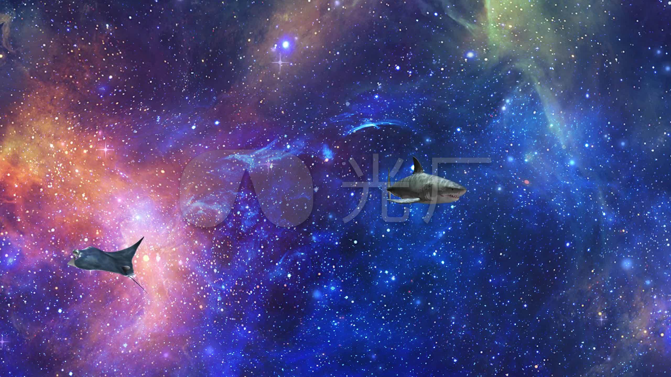星辰大海壁纸1080,星辰大海壁纸超清 星辰大海(03)