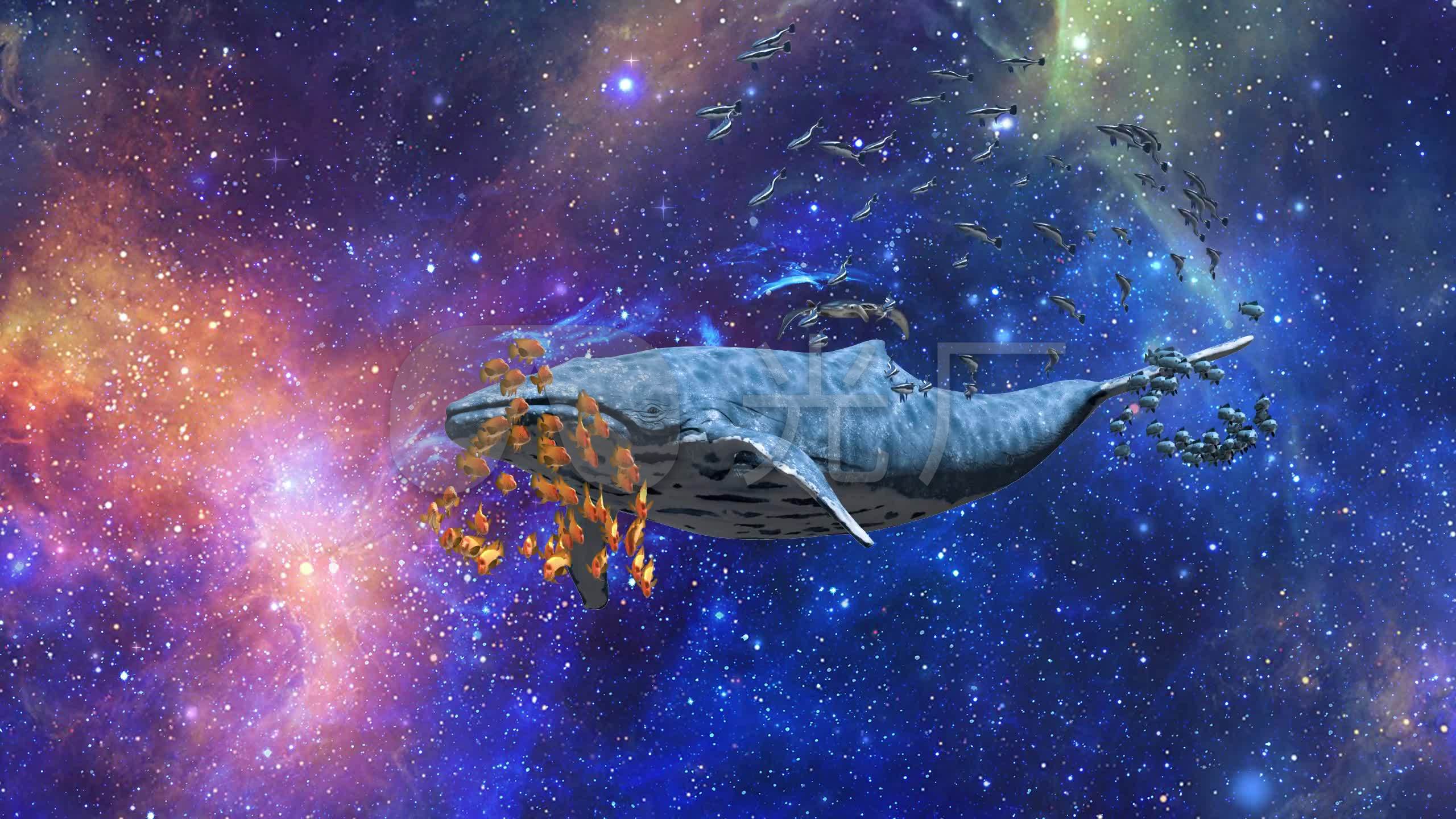 星辰大海(03)_2560x1440_高清视频素材下载(编号:)