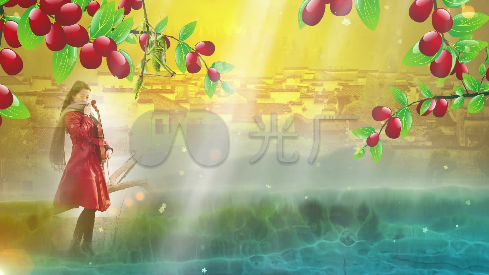 红枣树配乐成品视频背景_1920x1080_高清视频素材下载