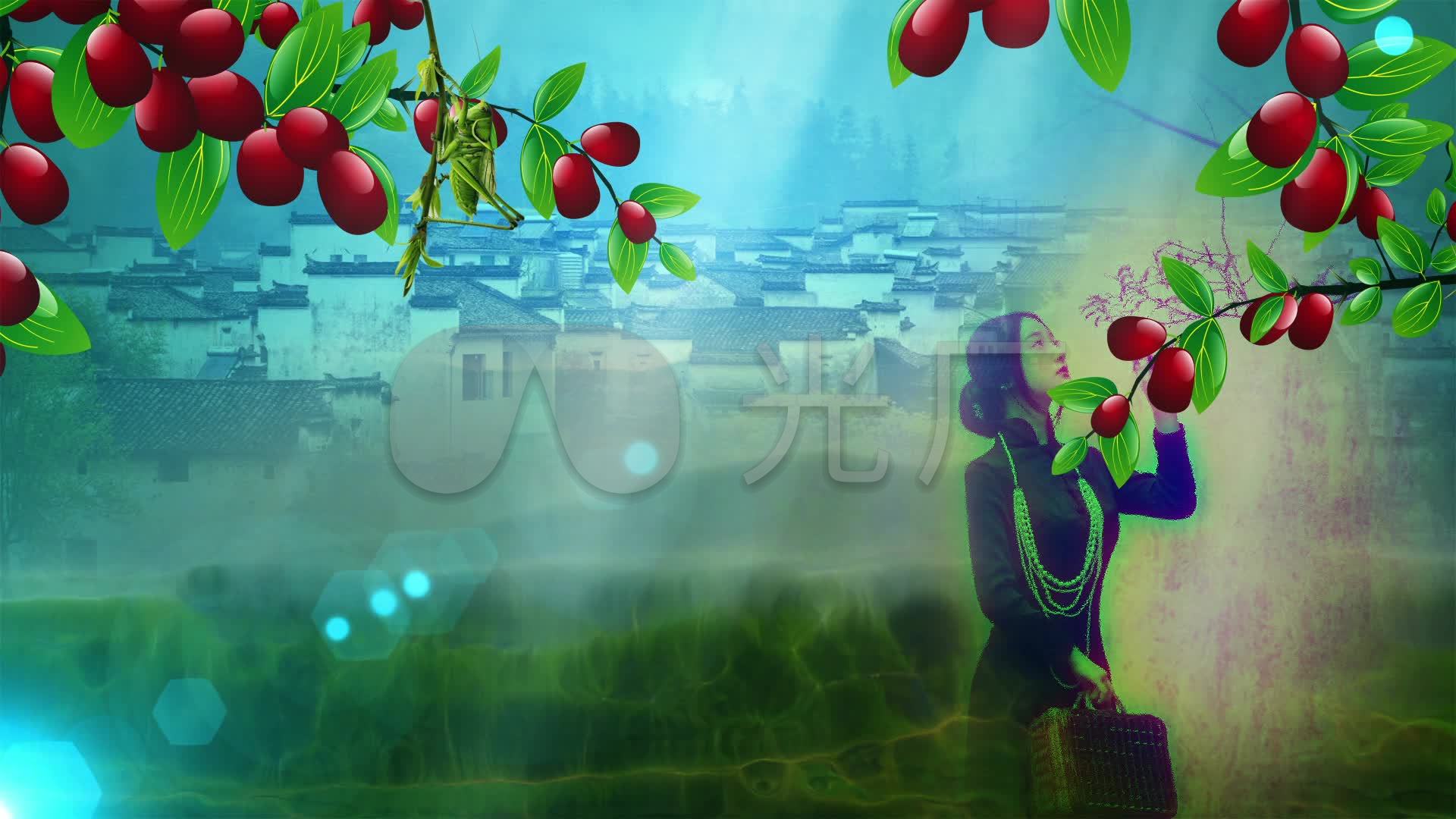 红枣树配乐成品视频背景_1920x1080_高清视频素材下载