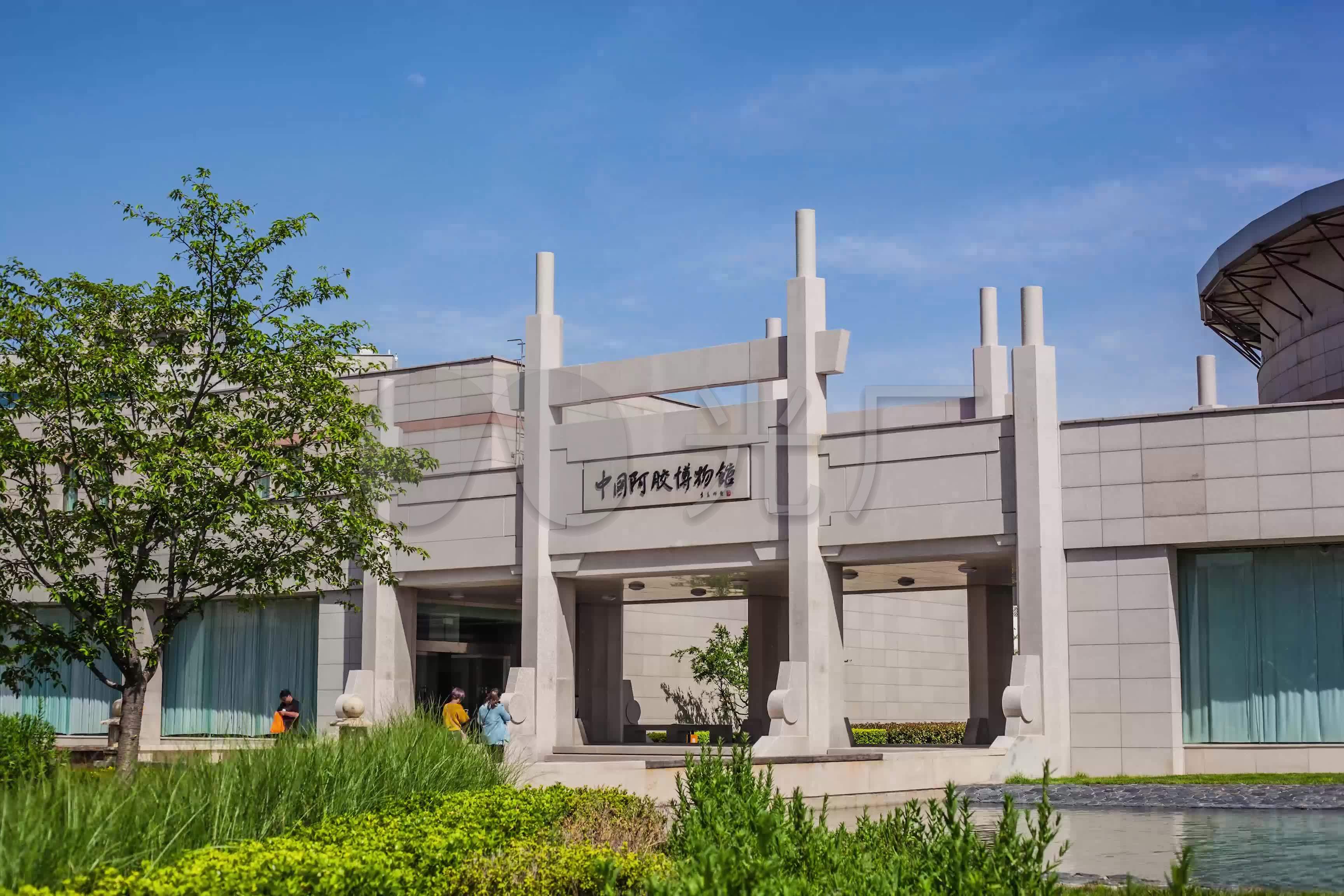 山东聊城东阿阿胶博物馆延时