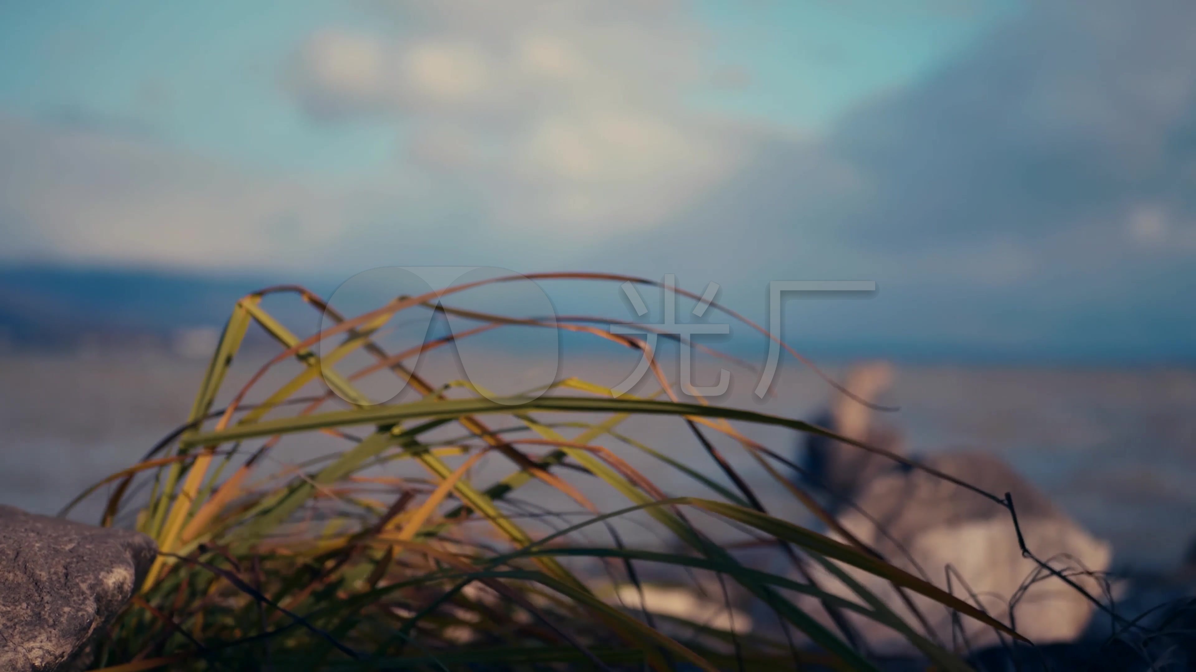 唯美夕阳时光回忆流水绿叶4k