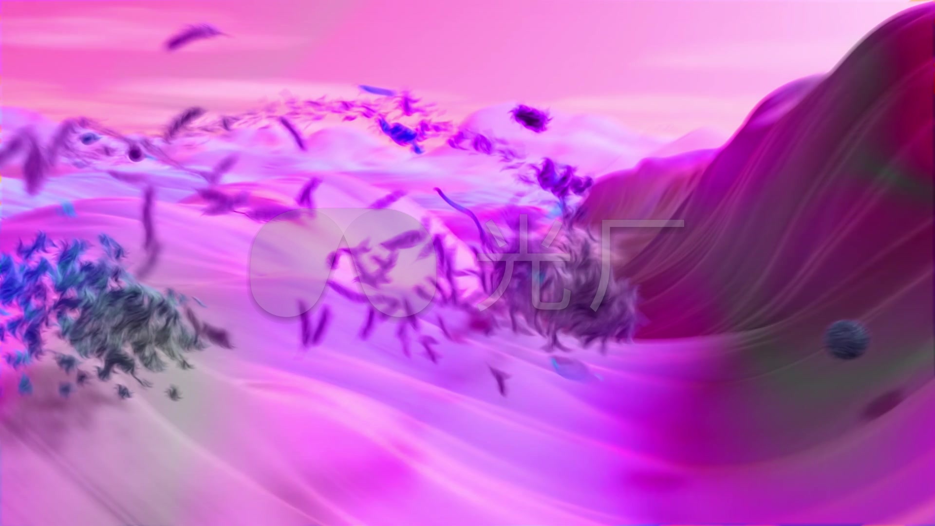紫色沙漠叶子飘动循环