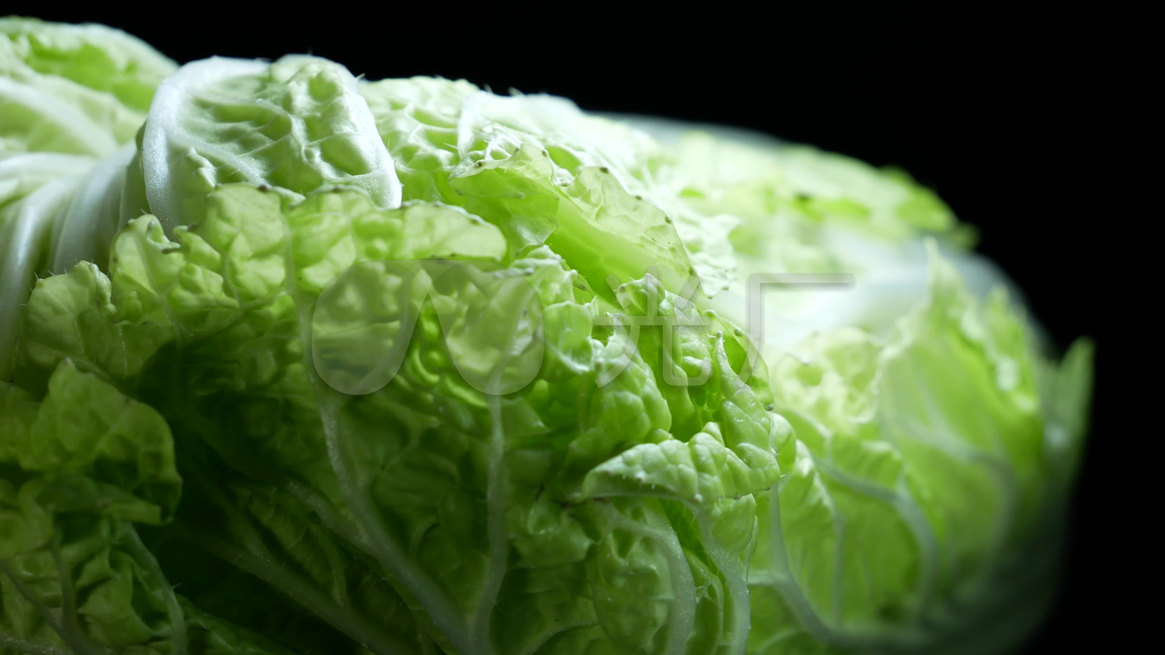 白菜青菜_大白菜_3840x2160_高清视频素材下载(编号:4141939)_实拍