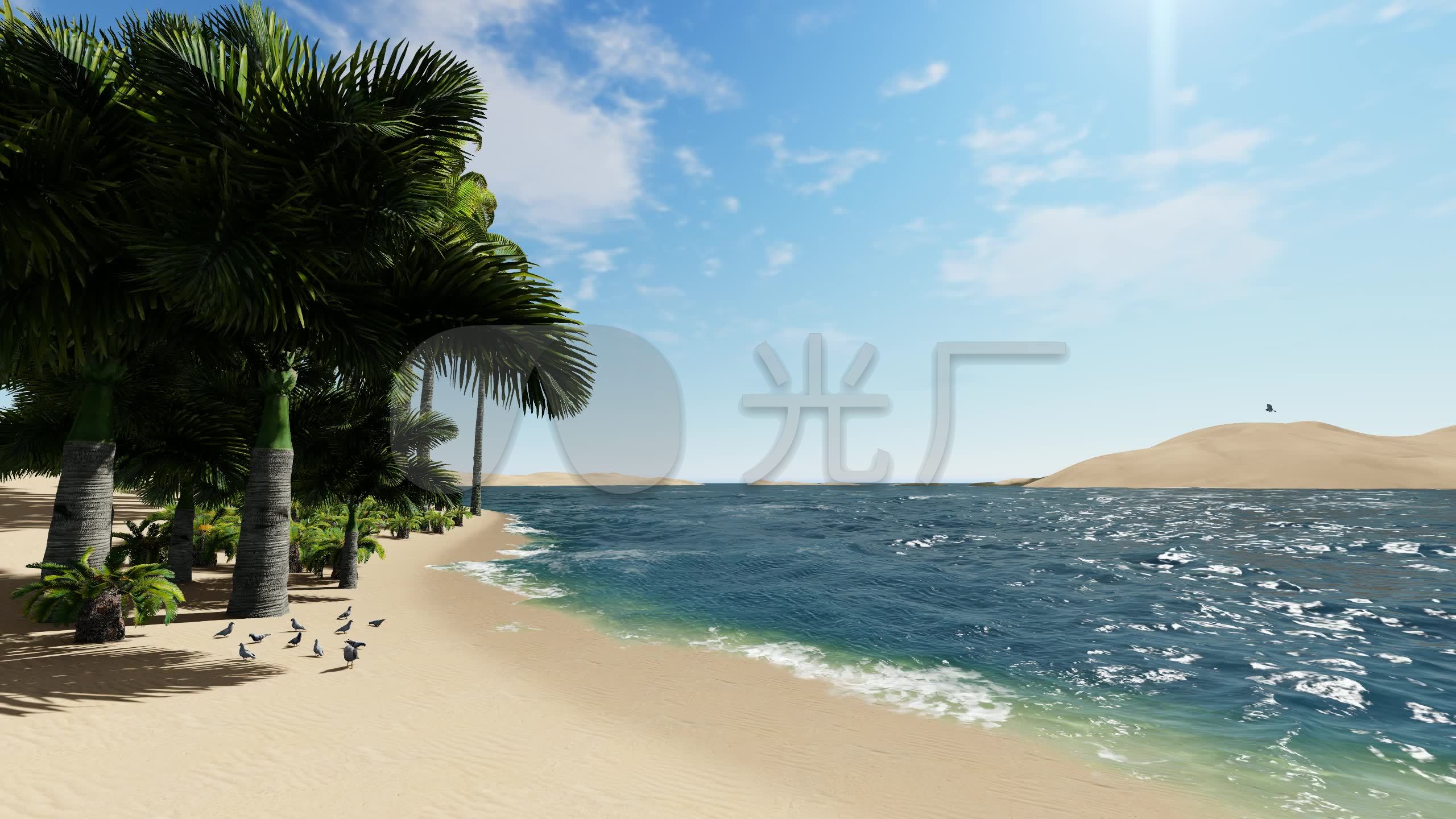 大海沙滩椰子树_2560x1440_高清视频素材下载(编号:)