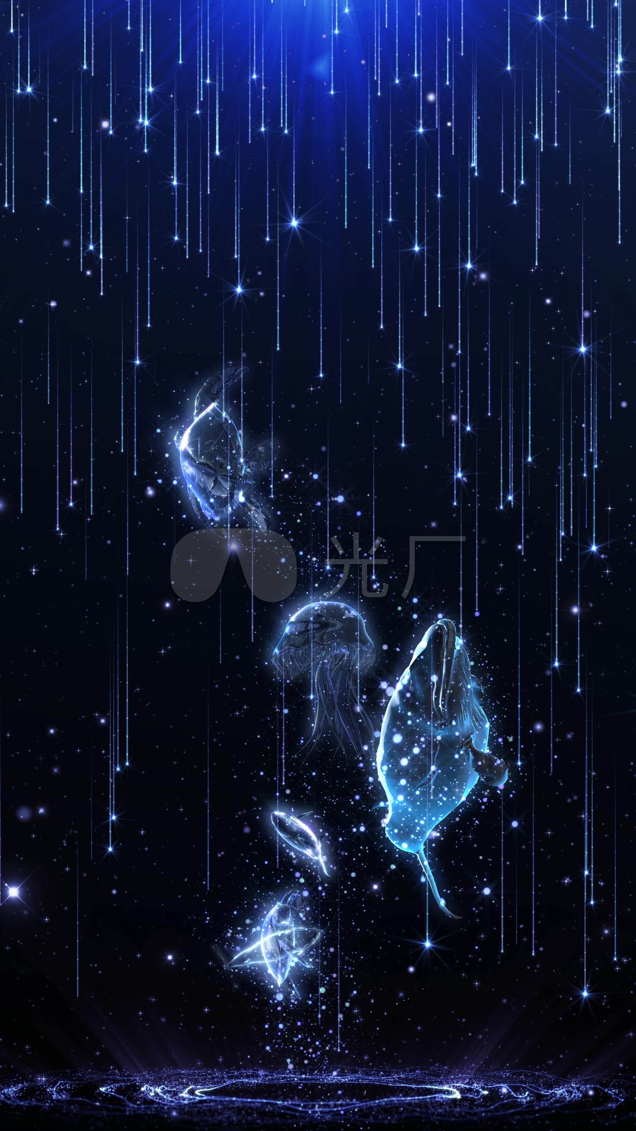 (4k竖屏)粒子鲸鱼纱幕投影背景8_2160x3840_高清视频
