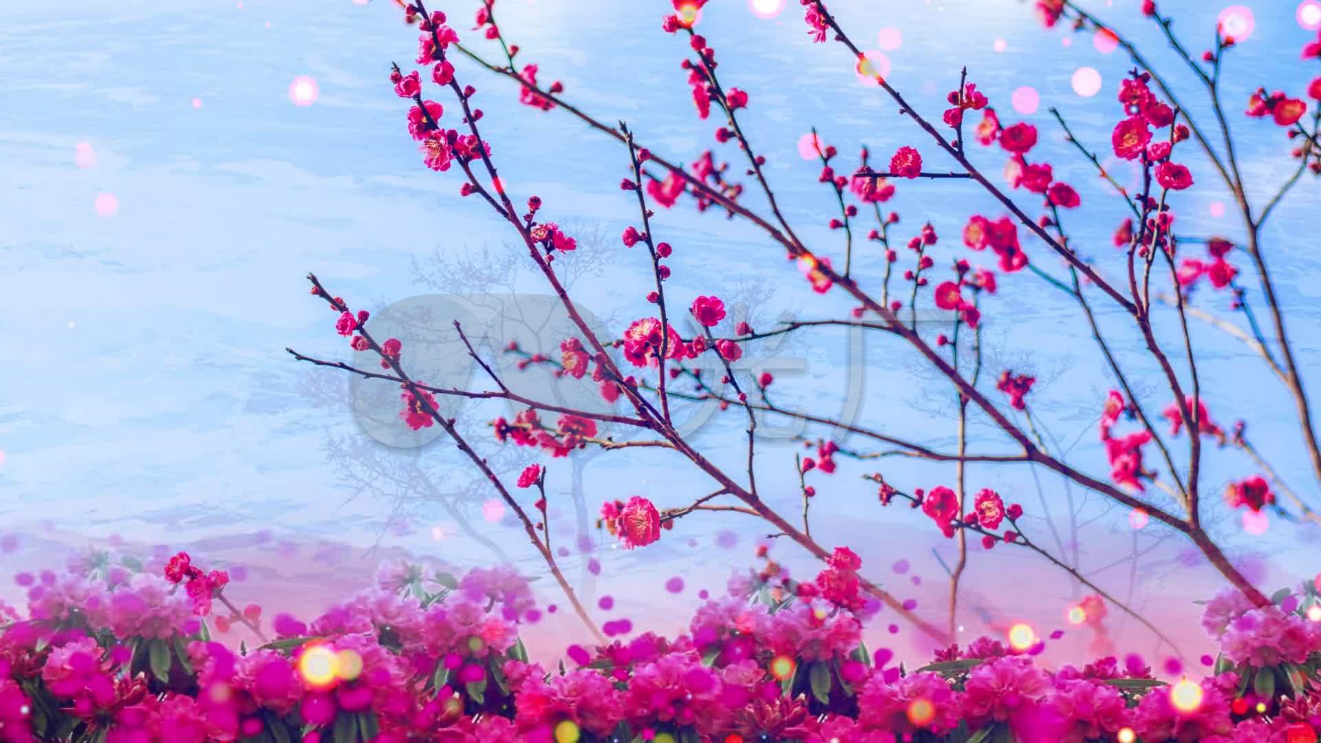 歌曲(红莓花儿开)舞台背景_1920x1080_高清视频素材下载(编号:4150837