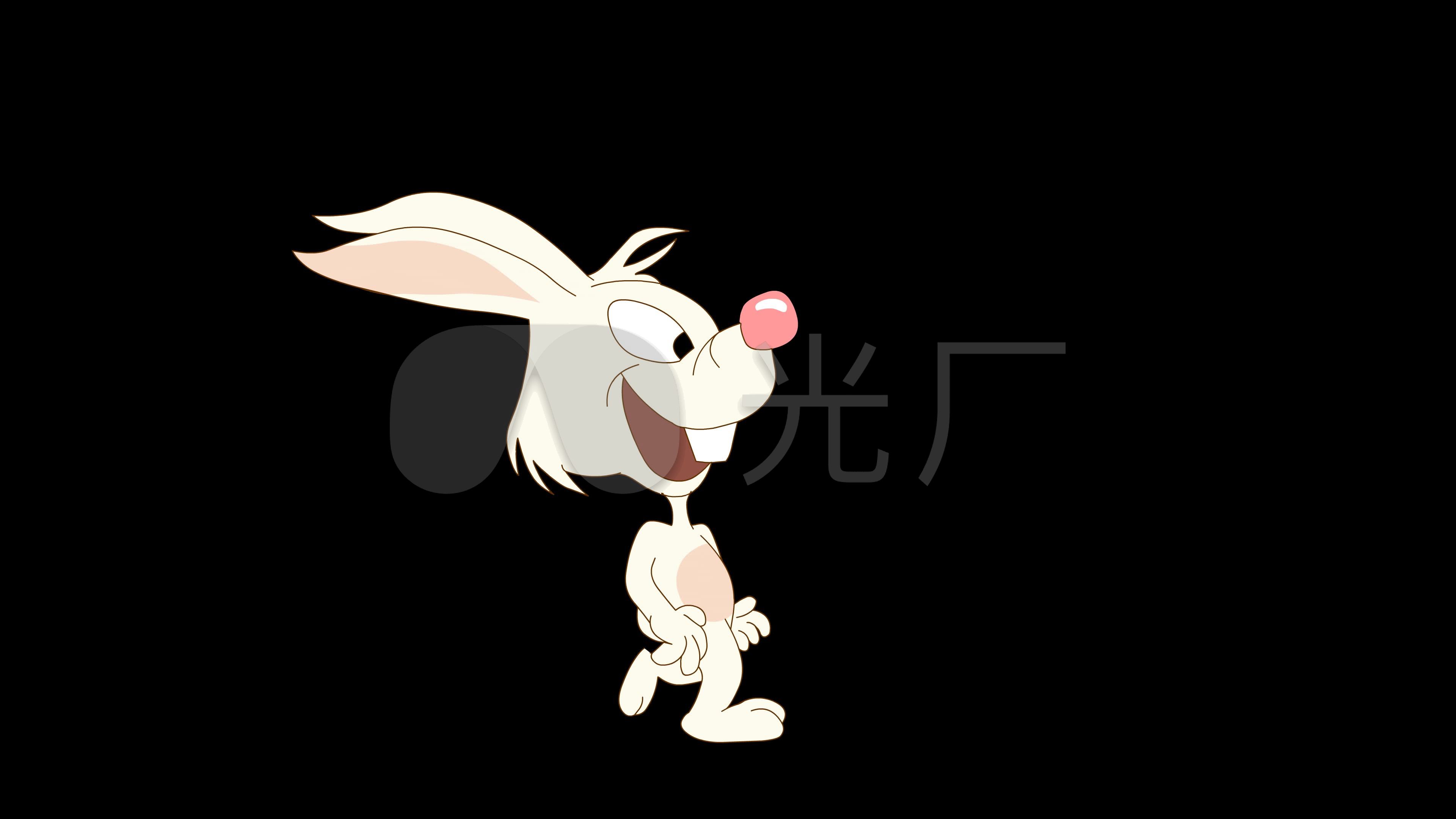 兔子走路_3840x2160_高清视频素材下载(编号:4162024)_影视包装_vj师