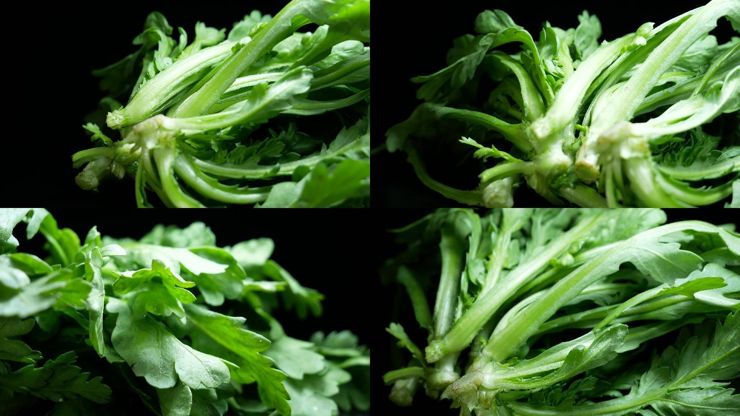 茼蒿_蓬蒿菜_菊花菜