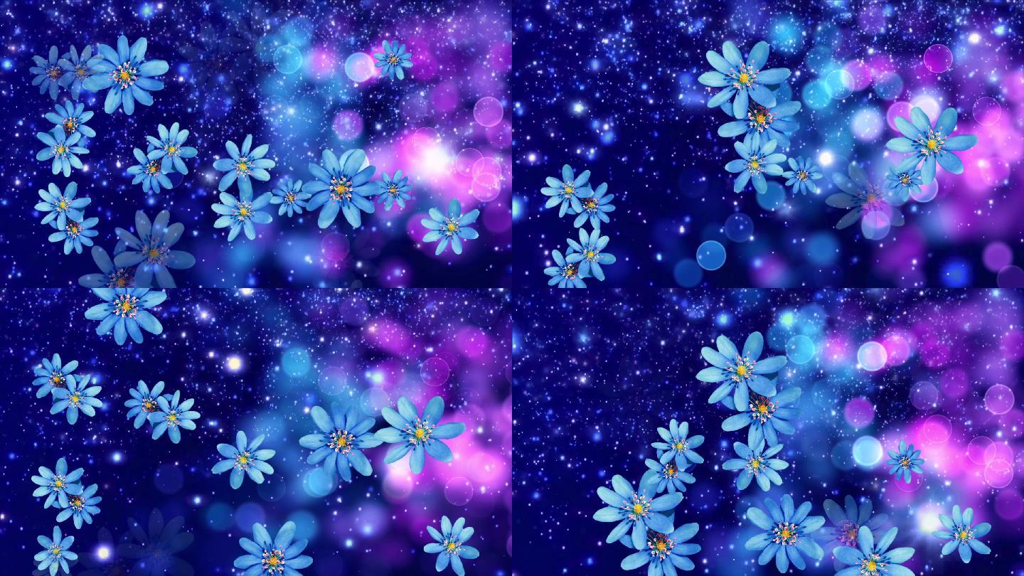蓝色花落,唯美梦幻背景视频.