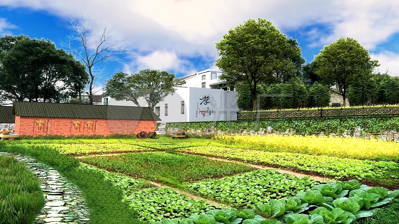 新农村建设菜园舞台背景_1280x720_高清视频素材下载(编号:4171476)