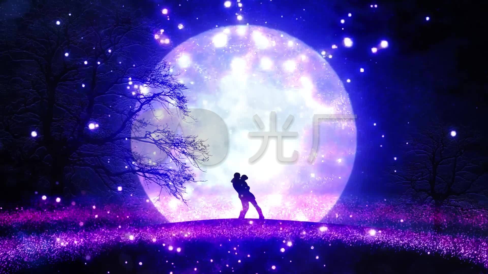 大气唯美梦幻爱情情侣月亮粒子背景视频