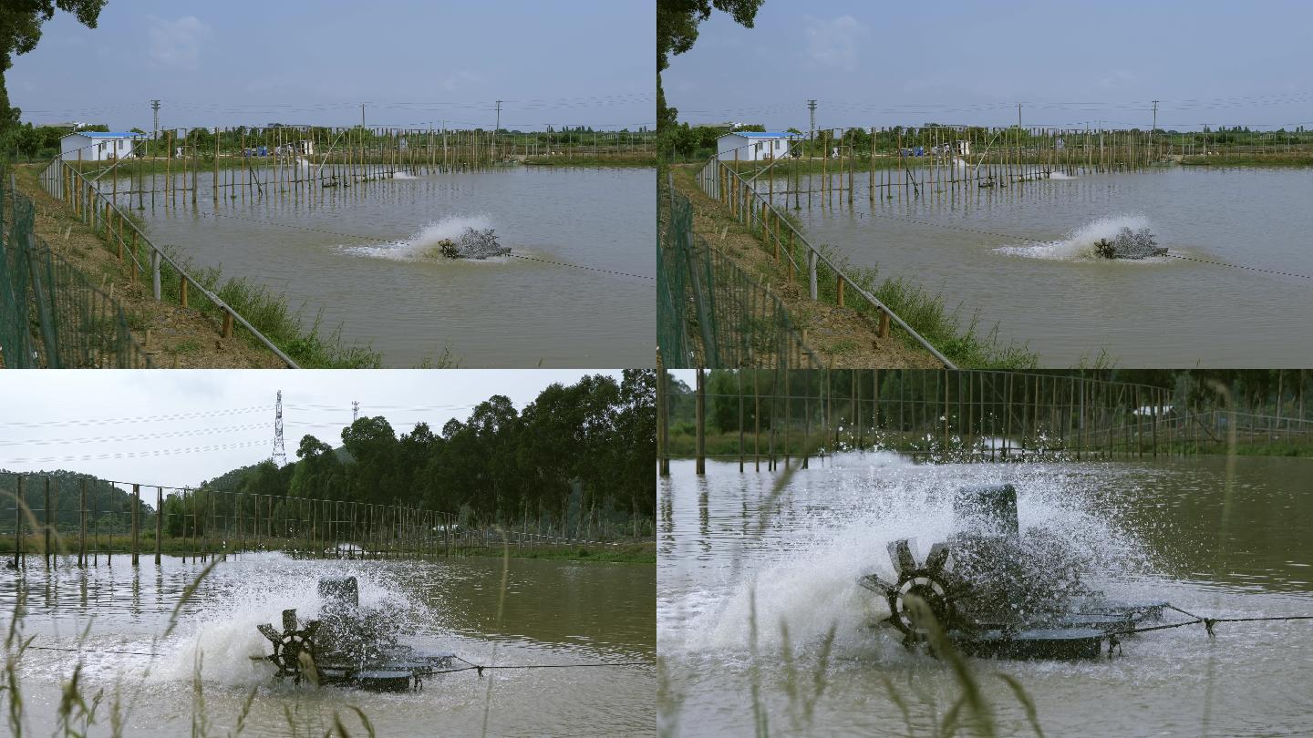 水产养殖