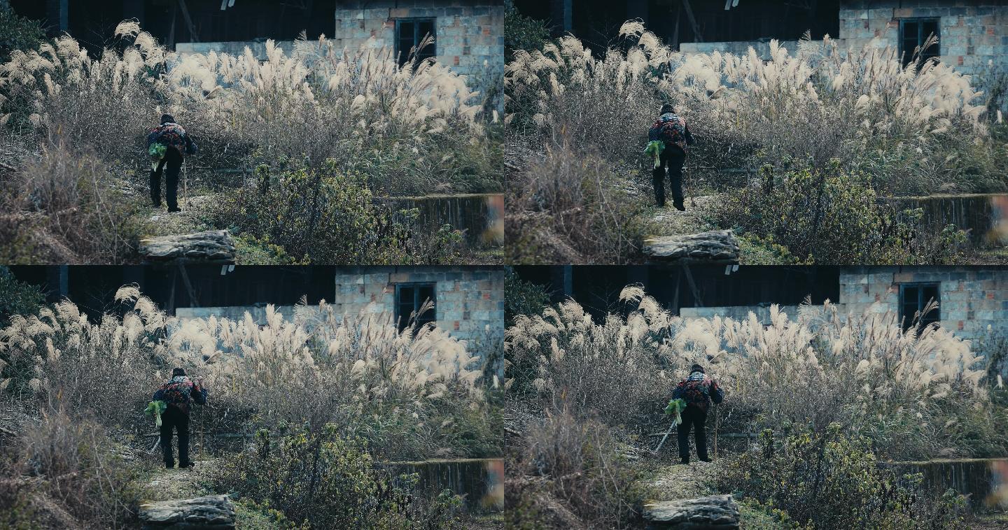 4k步履蹒跚佝偻的老人背影05