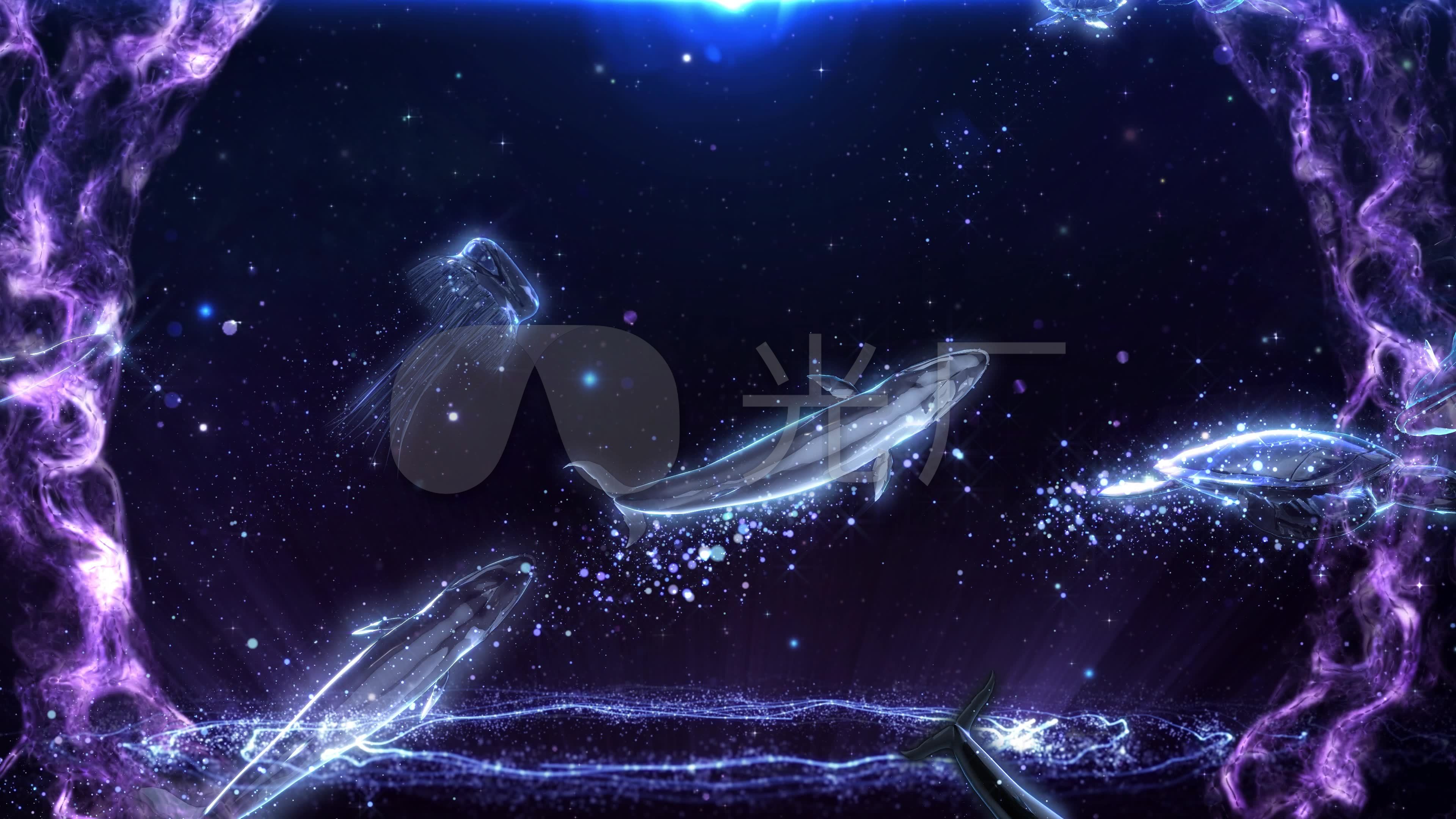 梦幻海洋星辰大海鲸鱼素材_3840x2160_高清视频素材
