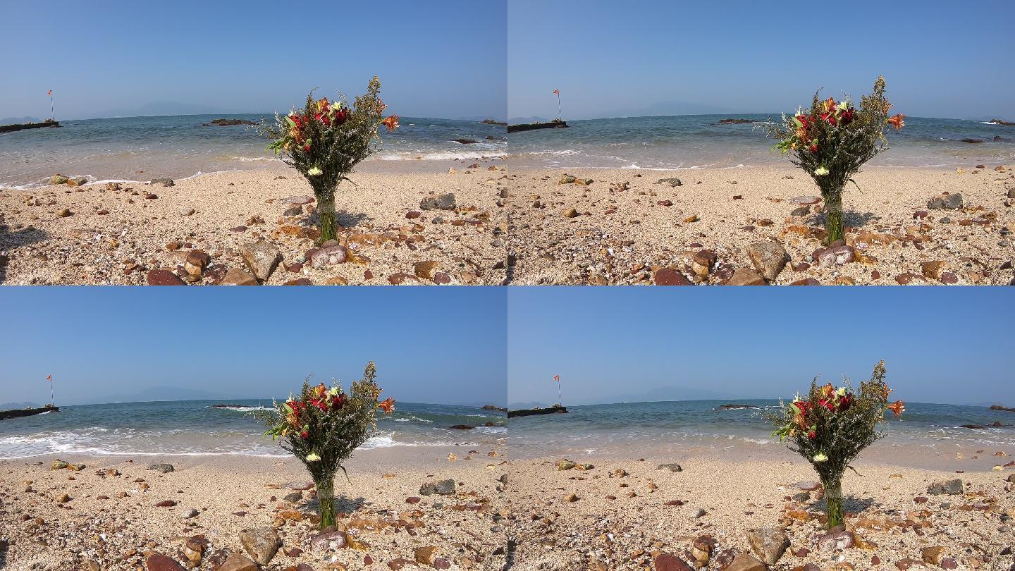 海浪 浪花 海边 大海 延时 鲜花 沙滩 实拍