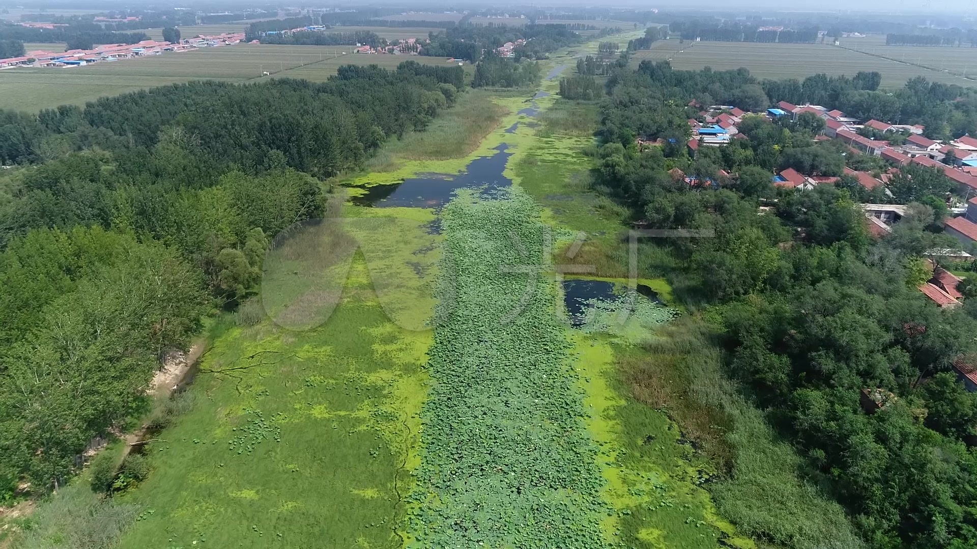 航拍河滩地水产种植养殖01