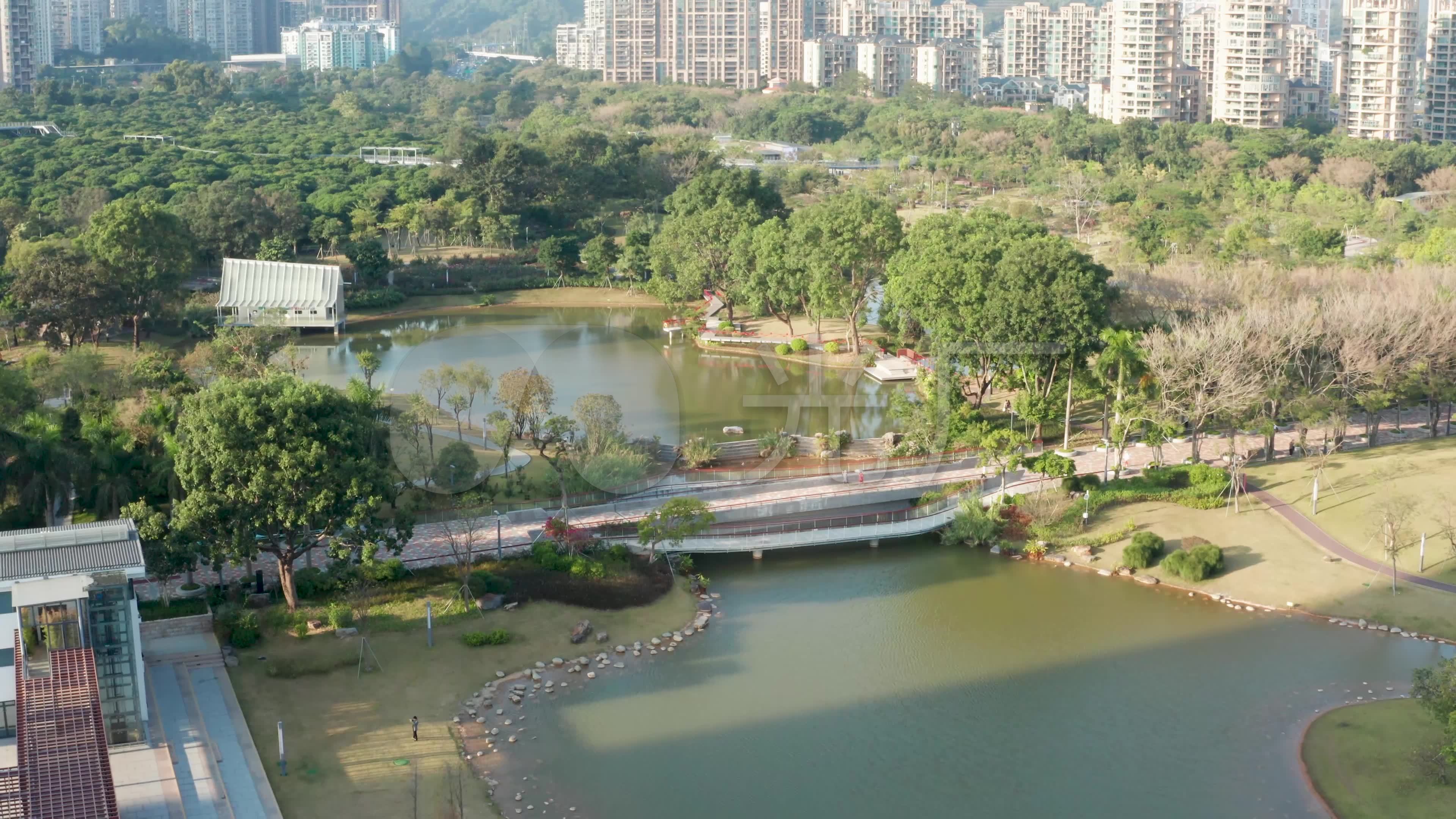 超高清视频深圳香蜜湖公园