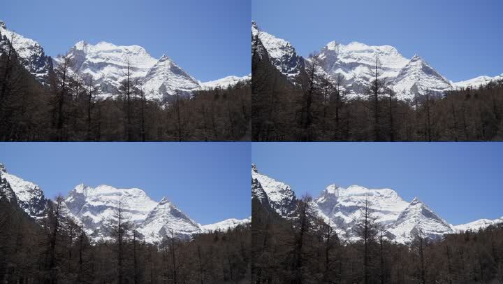 雪山山林树林高原纪录片蓝天