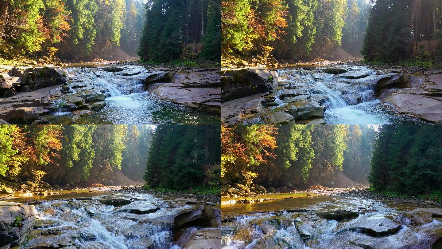 4k阳光山林森林溪流美景