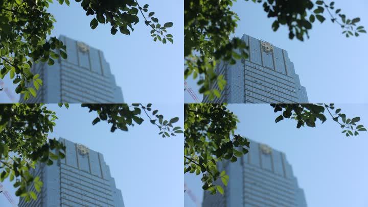 深圳城市绿树前景职称发展_1920X1080_古建筑设计高楼工作总结图片