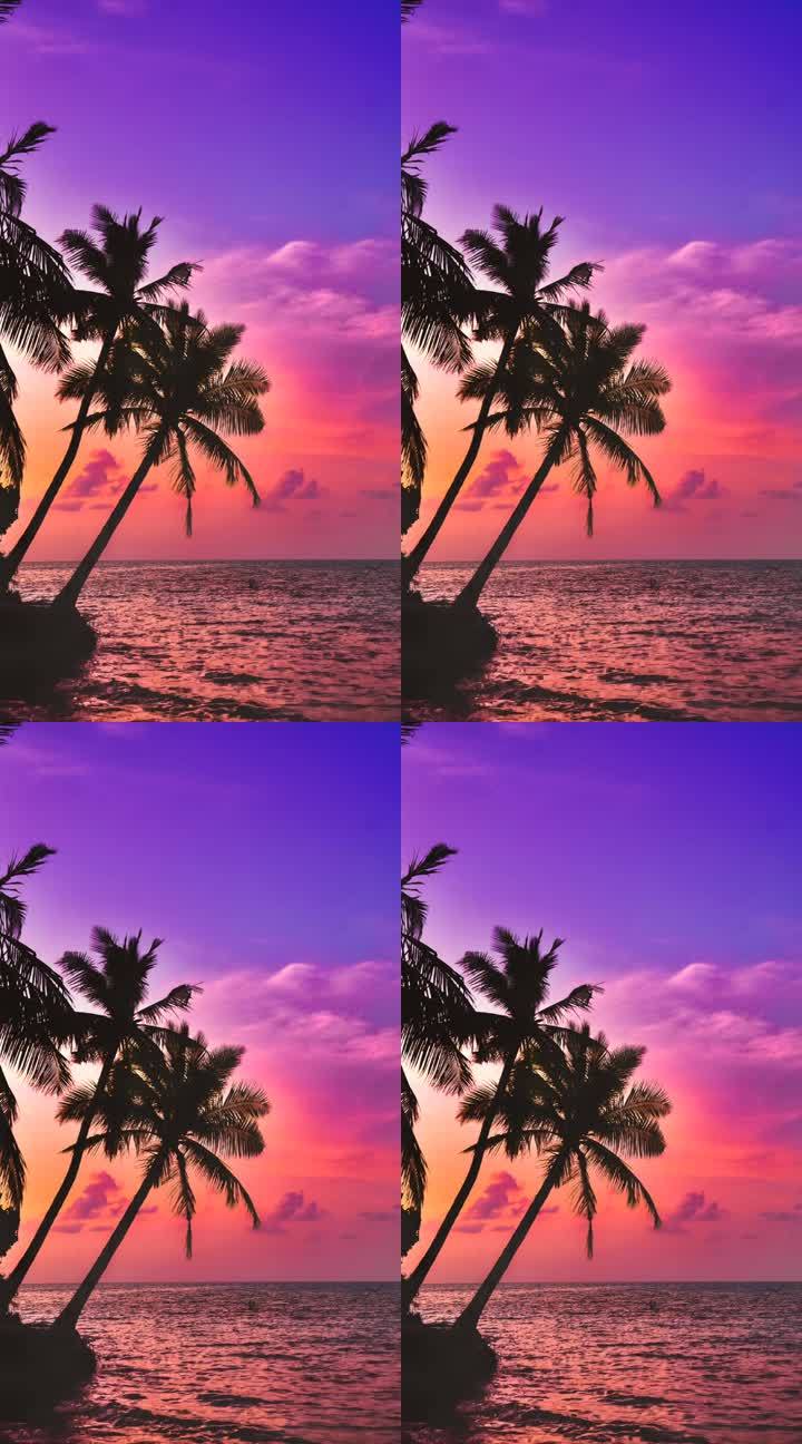 【竖视频】夕阳椰树剪影场景