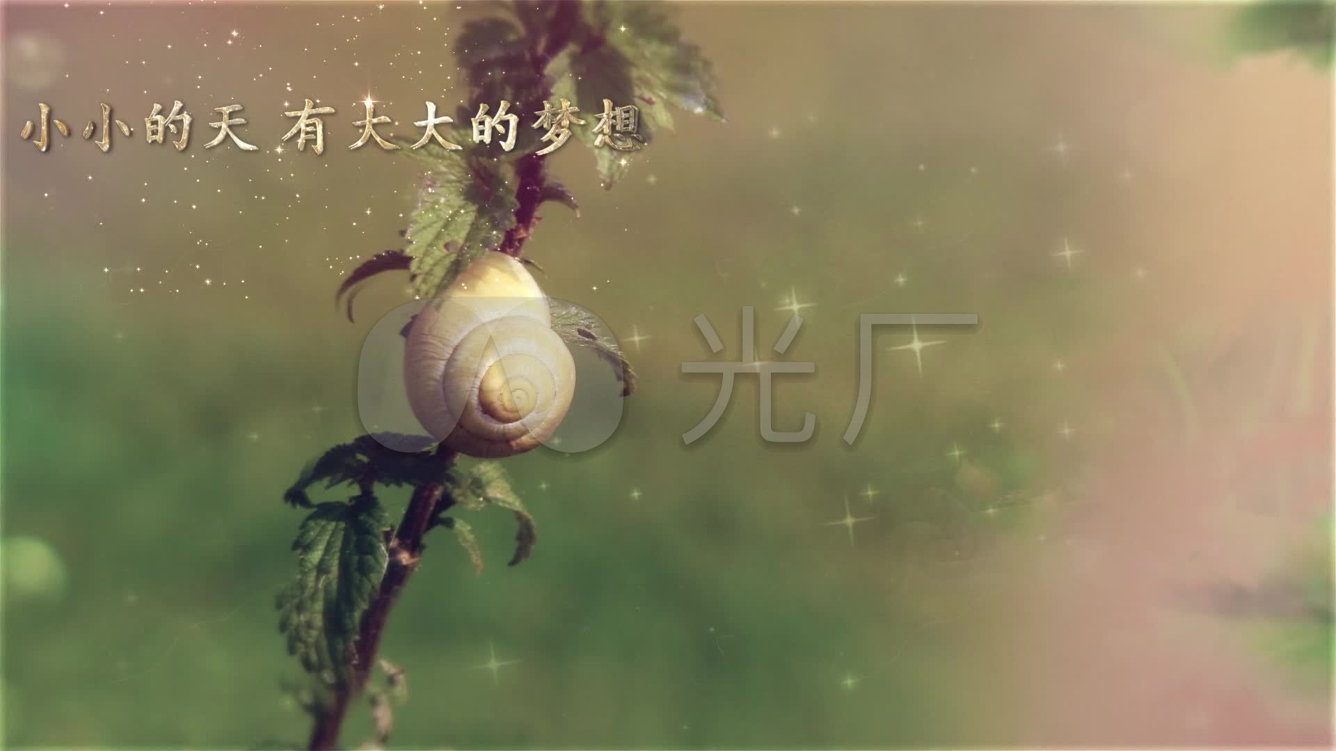 周杰伦《蜗牛》有文字歌词绚丽唯美舞台背景