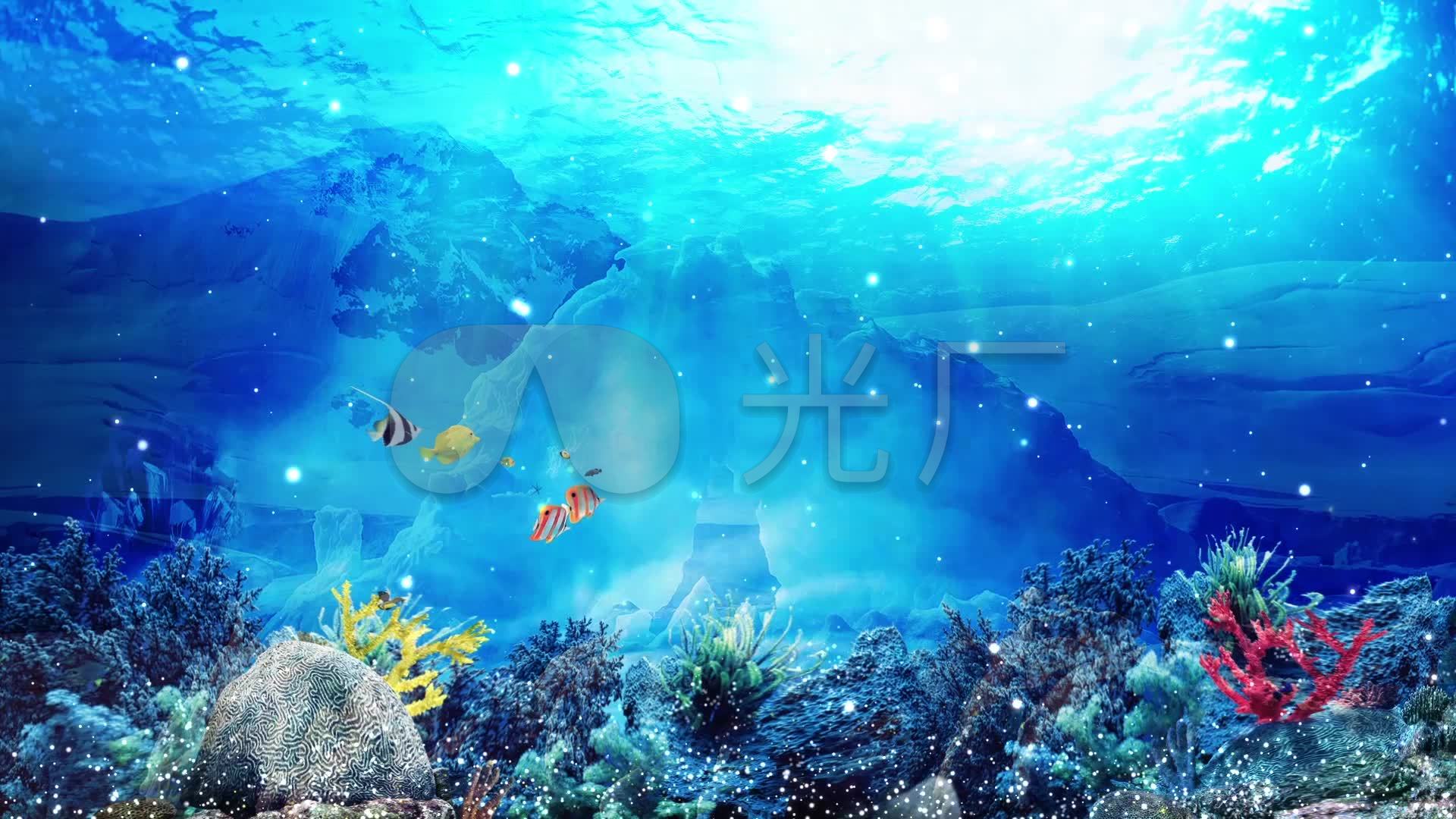 唯美海底世界背景循环