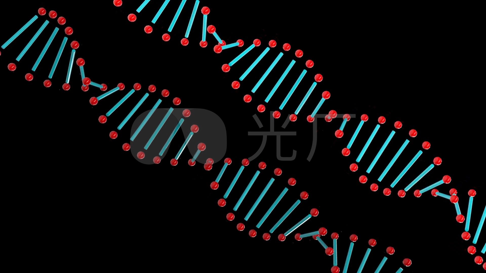 基因双链条带透明通道