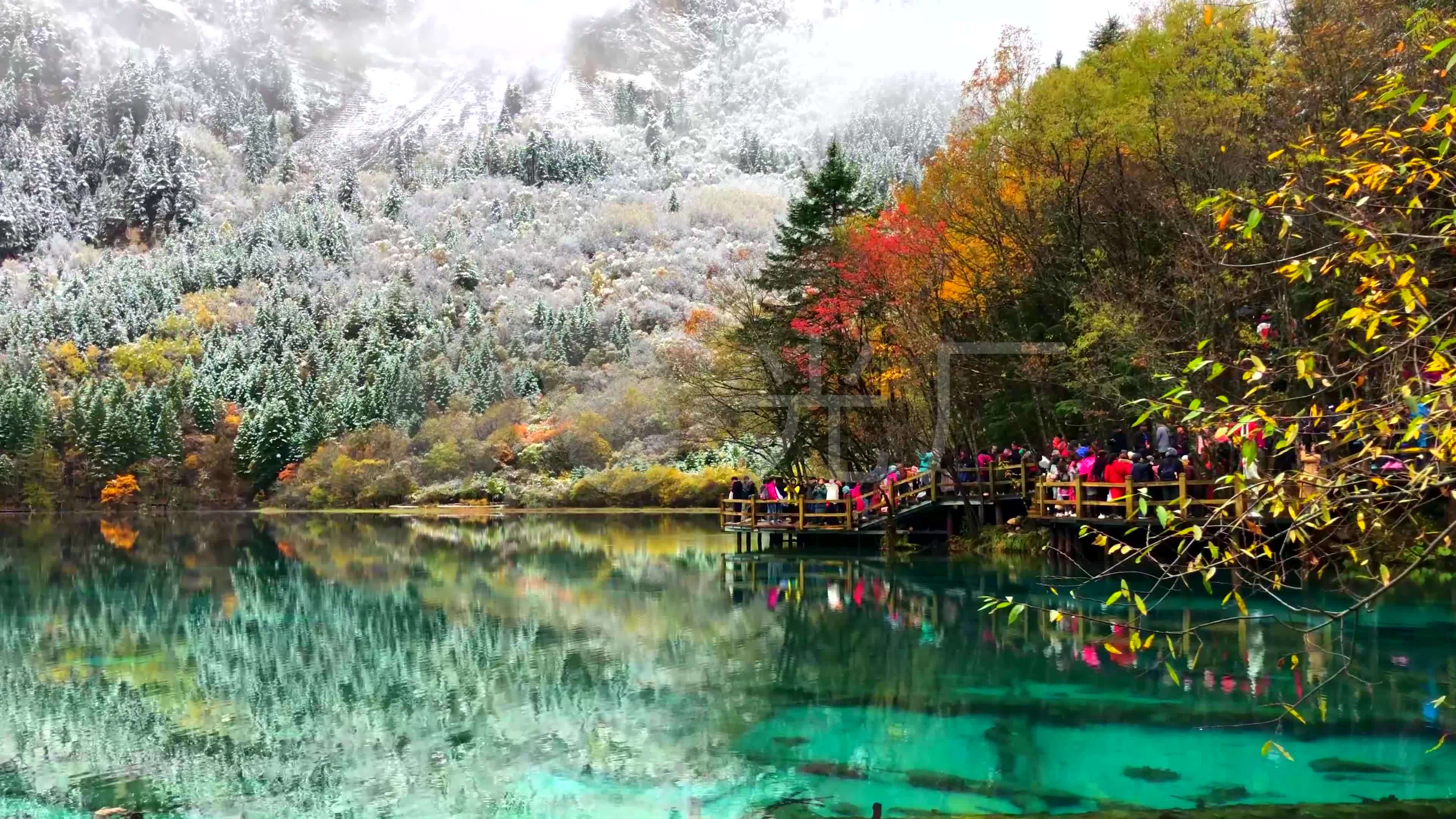 九寨沟五花海雪景_3840x2160_高清视频素材下载(编号