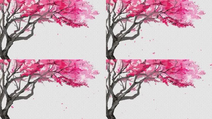 桃树花瓣飘落(带通道)