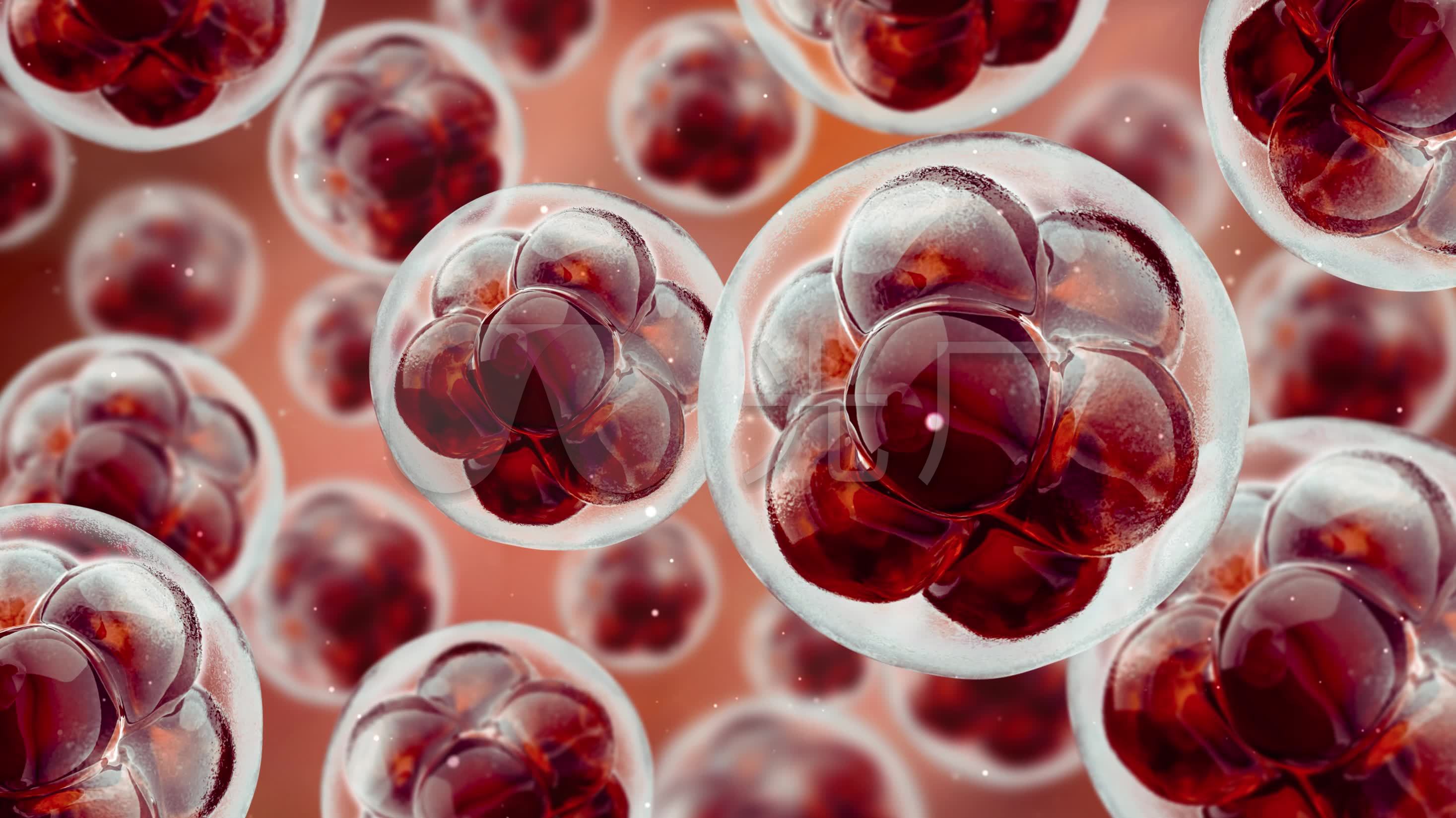 细胞微生物生物