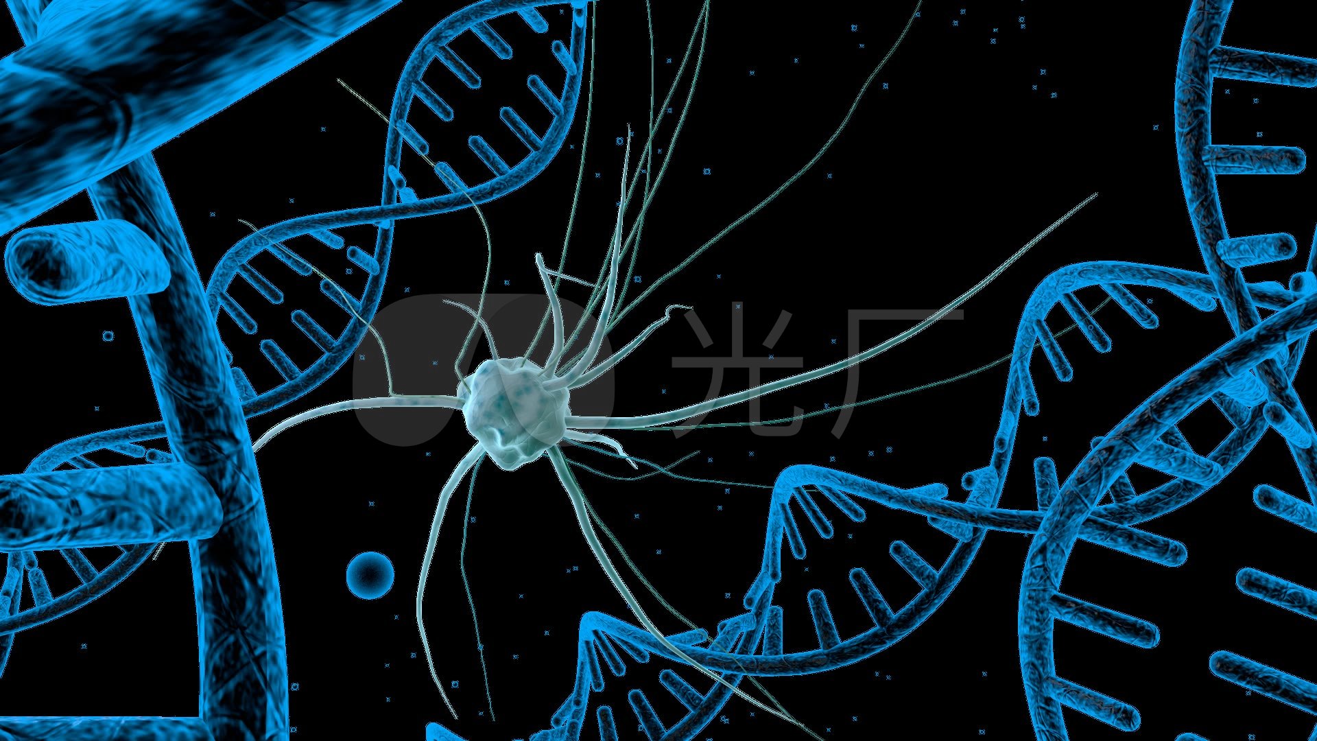 病毒dna_1920x1080_高清视频素材下载(编号:4336984)