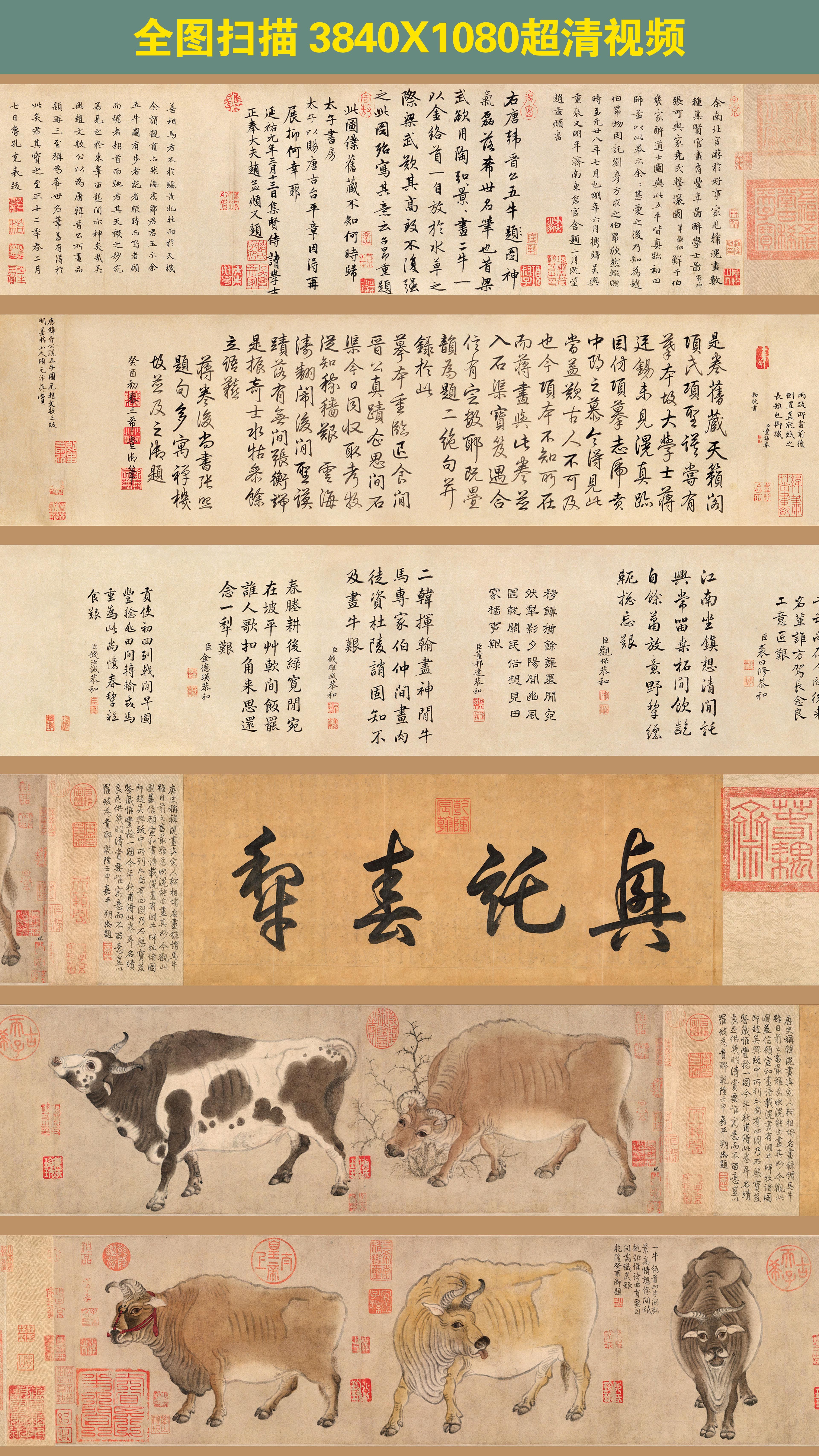 唐韩滉【五牛图】全卷