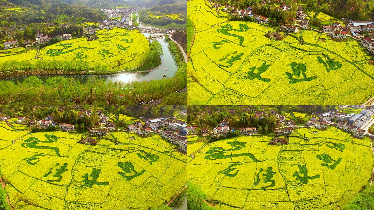 4k航拍陕西汉中勉县龙湾油菜花海