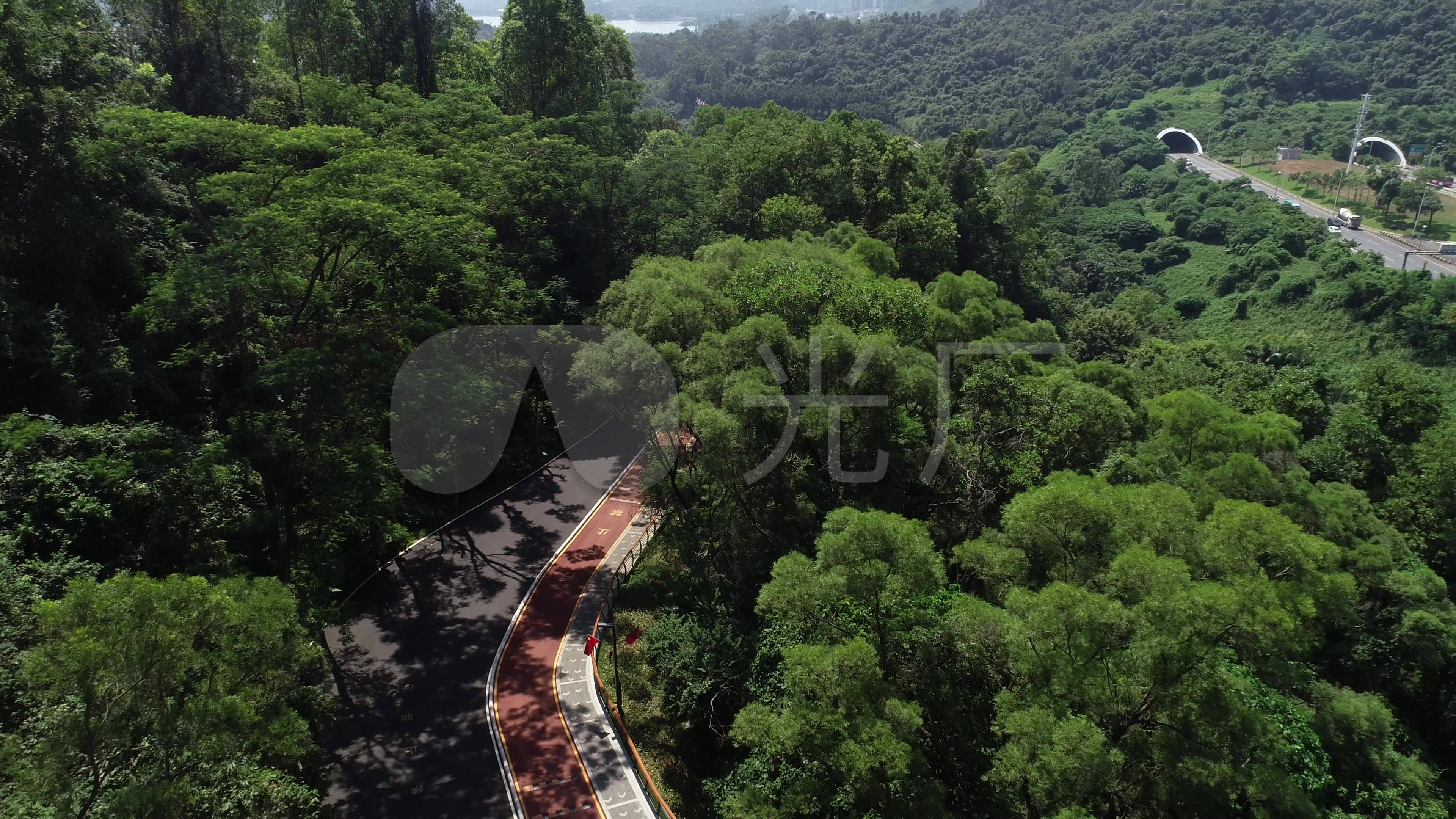 深圳淘金山绿道美景航拍_3840x2160_高清视频素材下载