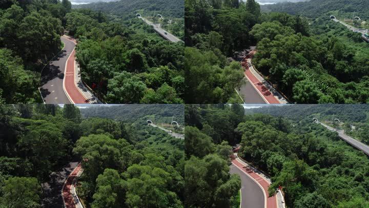 翻页哟画质举报 深圳美景城市绿化绿道国旗淘金山公园道路风景景点4