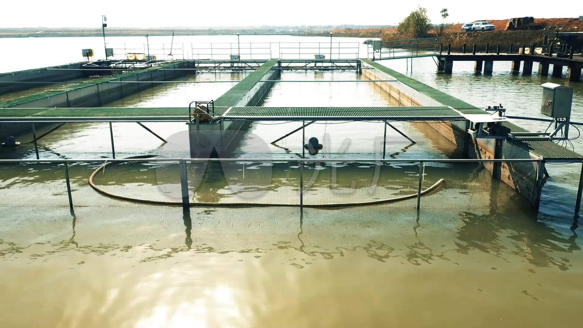 水塘养殖水塘繁育生态养殖鱼苗养殖基地_1920x1080_高清视频素材下载