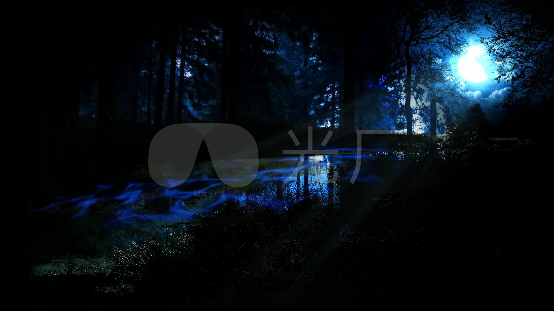 黑色黑夜梦幻森林_1920x1080_高清视频素材下载(编号