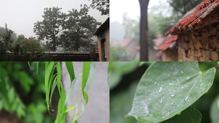 夏季 农村 下雨 雨季 大雨 乡村美景