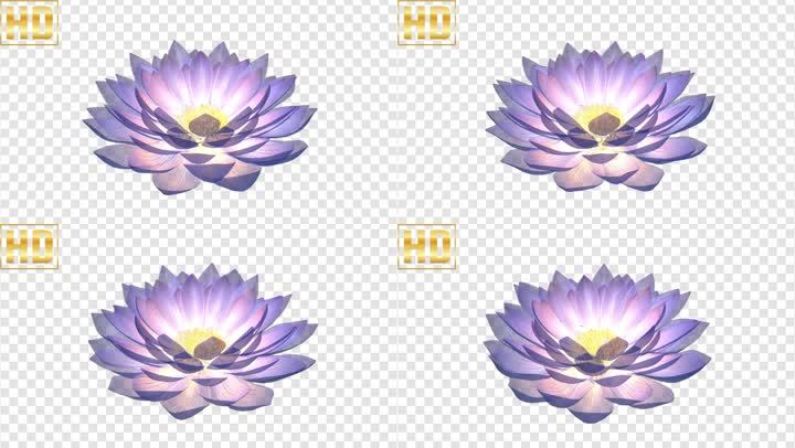 唯美3d莲花-alpha通道