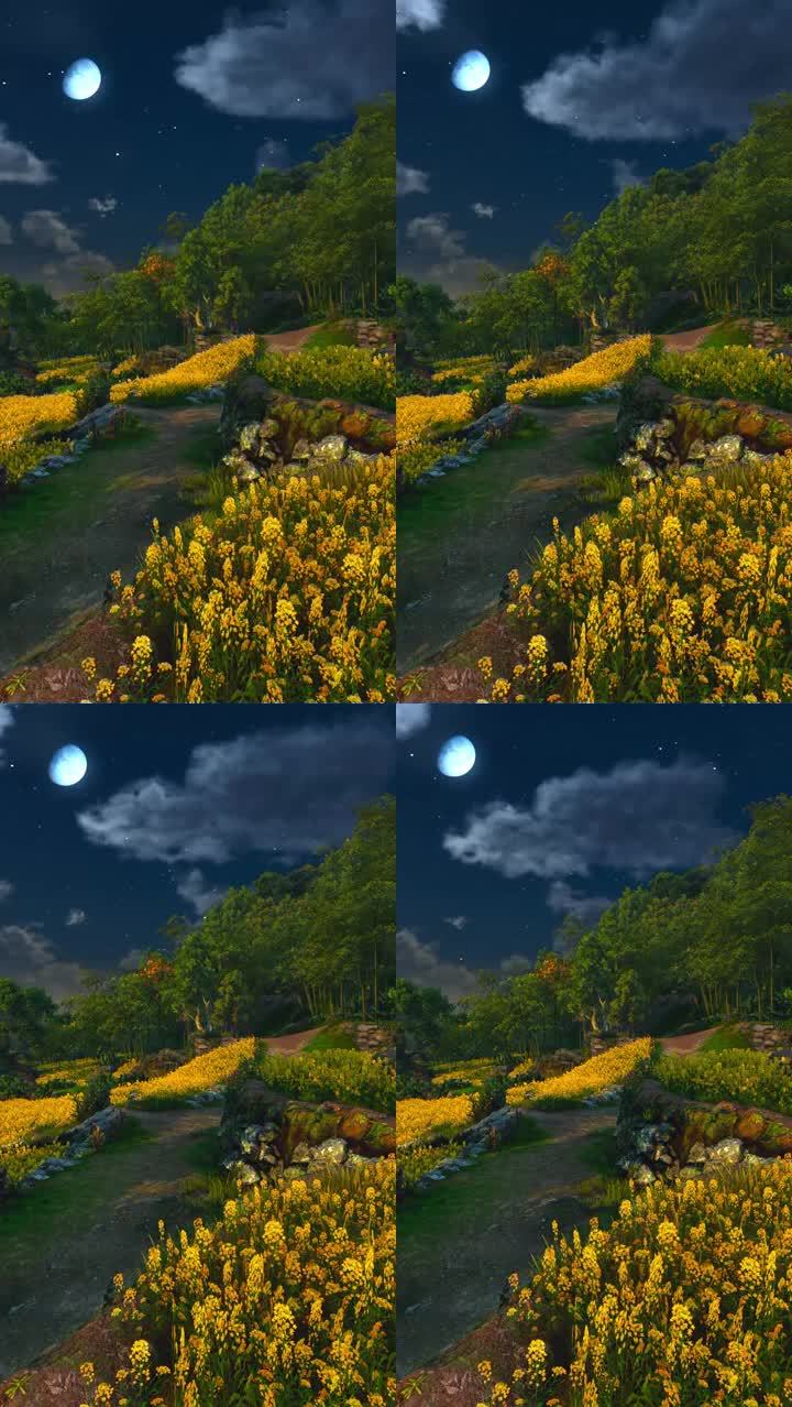 唯美风景系列【竖视频】-夜晚菜花地