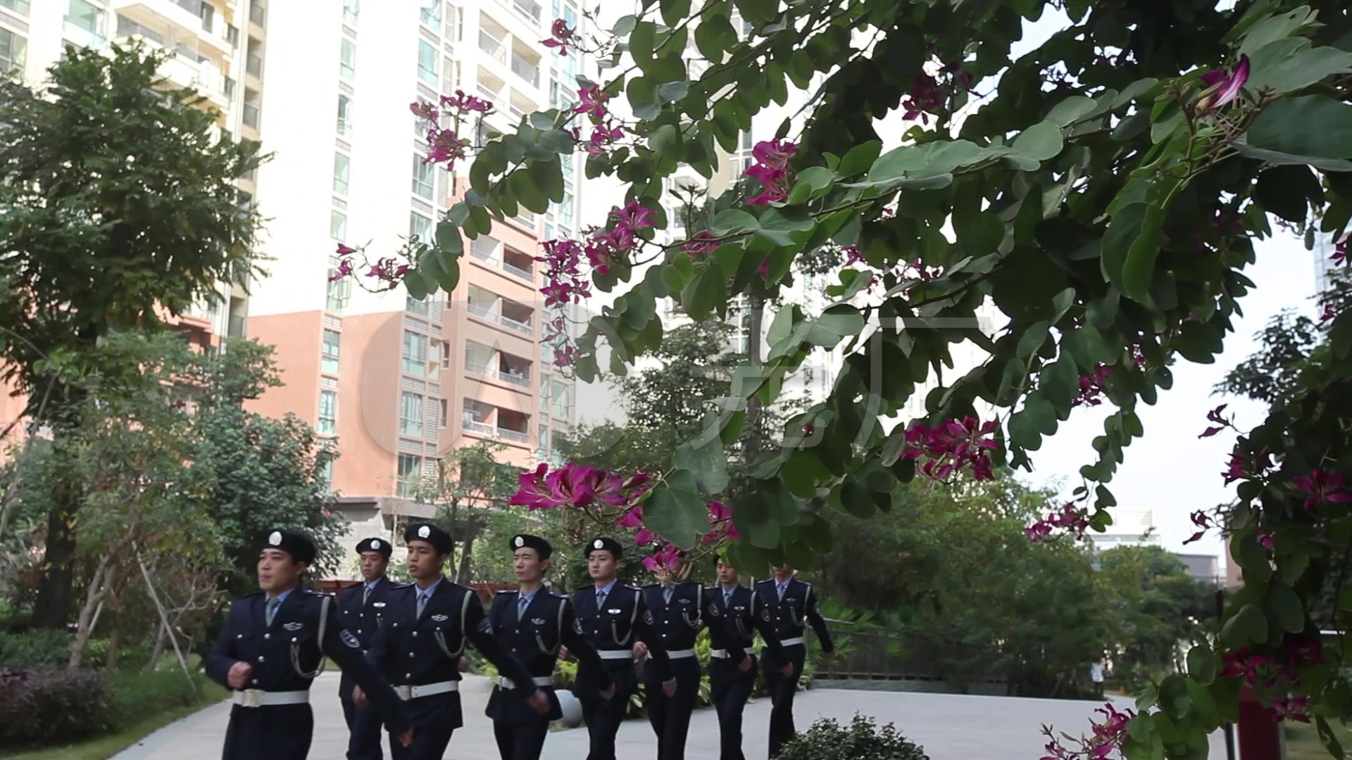 高档小区物业安保巡逻