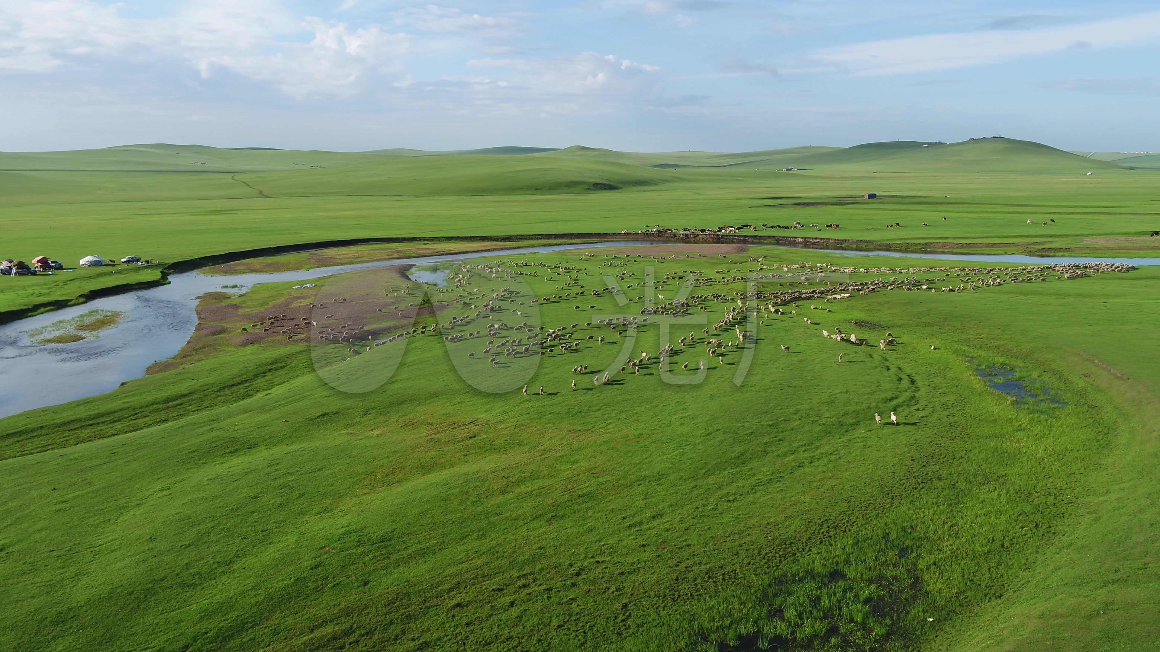 内蒙古大草原放牧牛羊