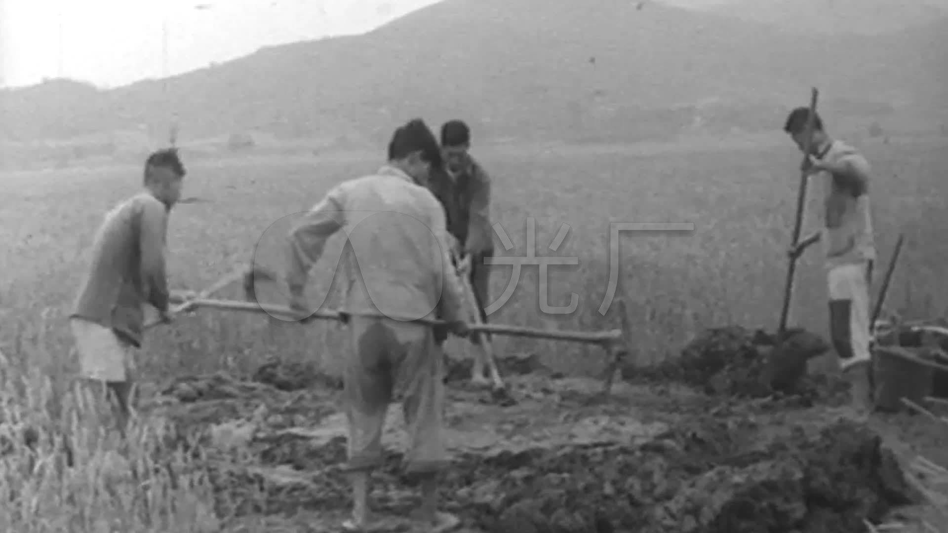 50年代60年代的农民