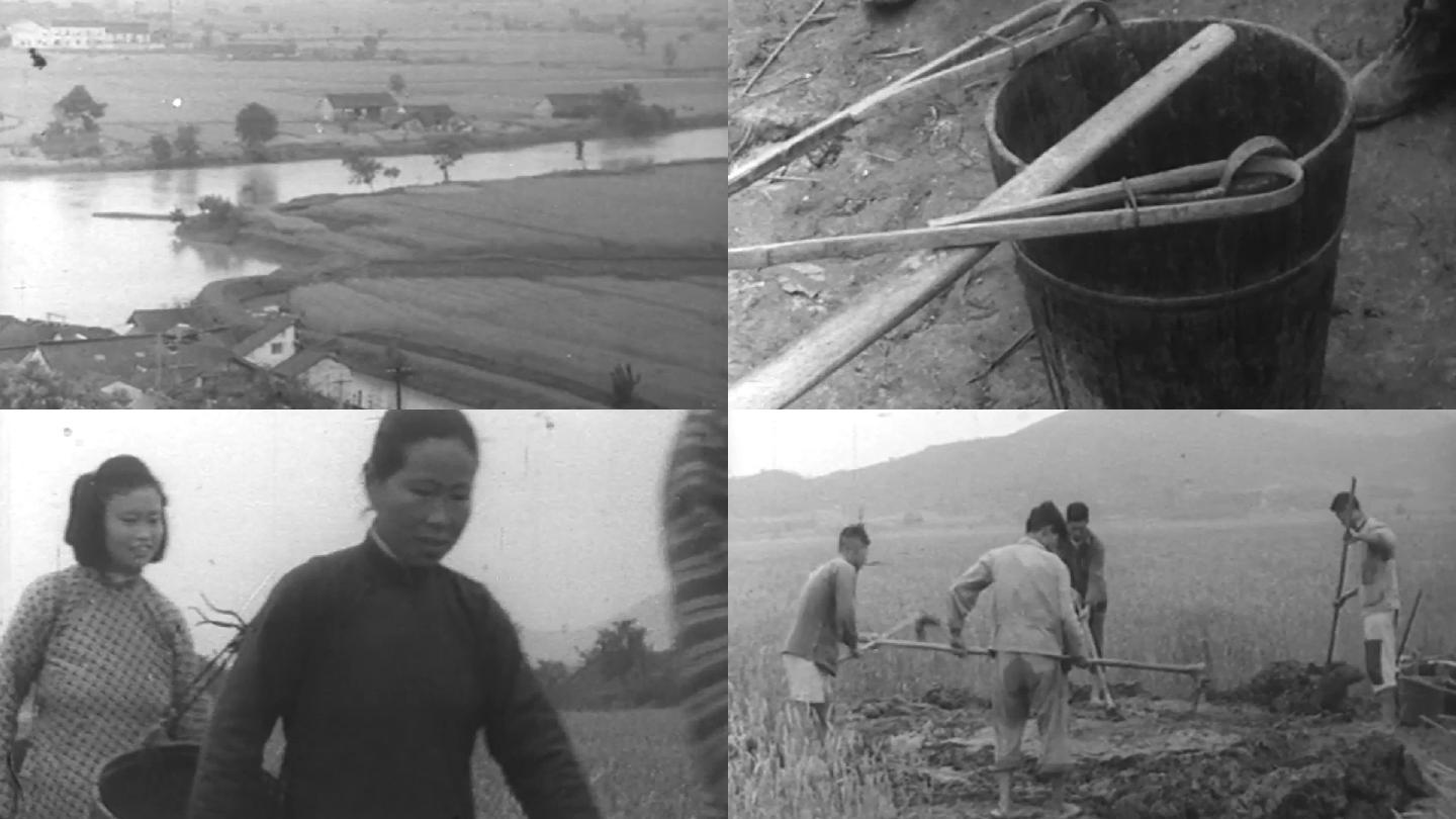 50年代60年代的农民
