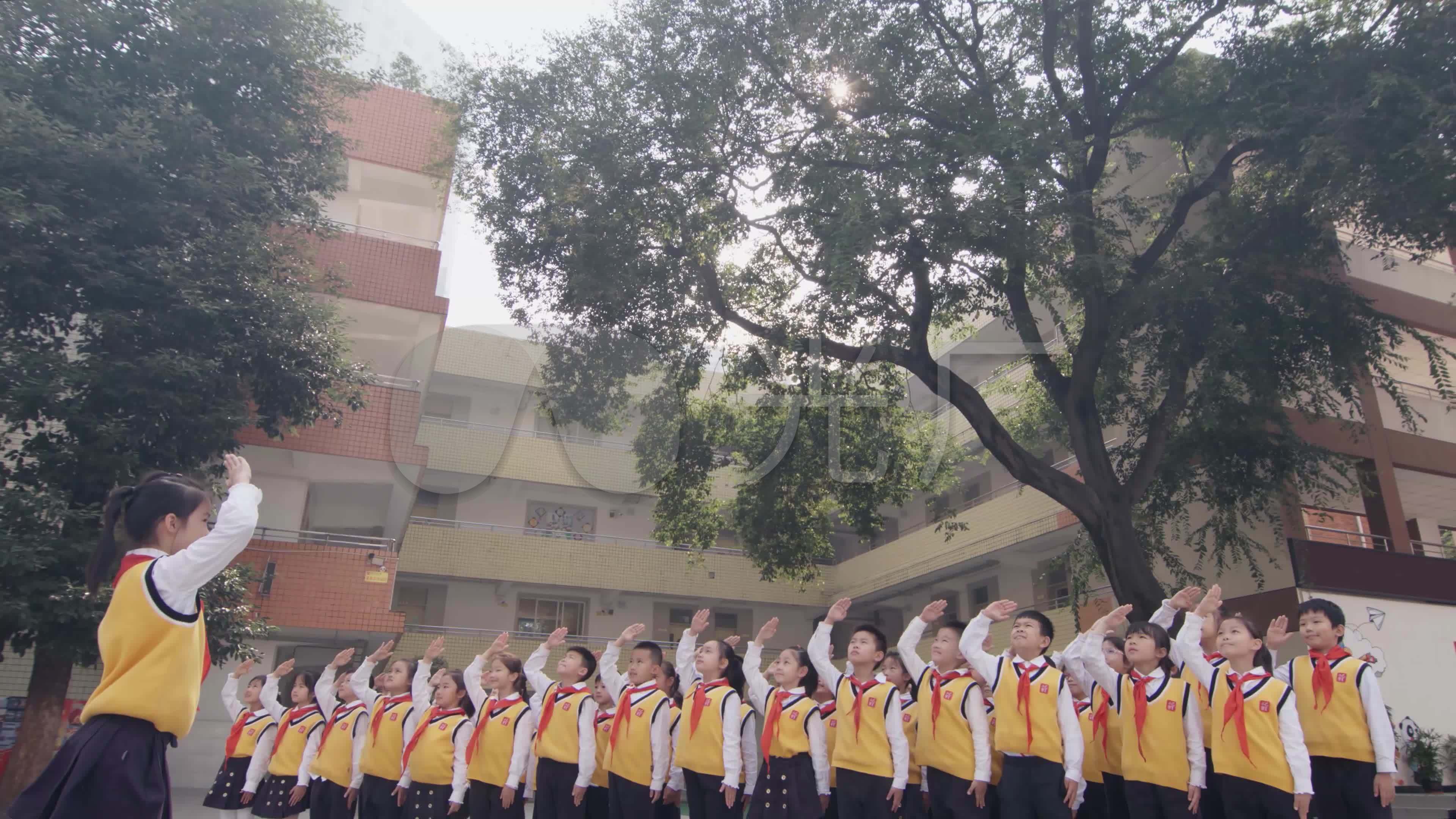 小学生敬礼_3840x2160_高清视频素材下载(编号:)_实拍