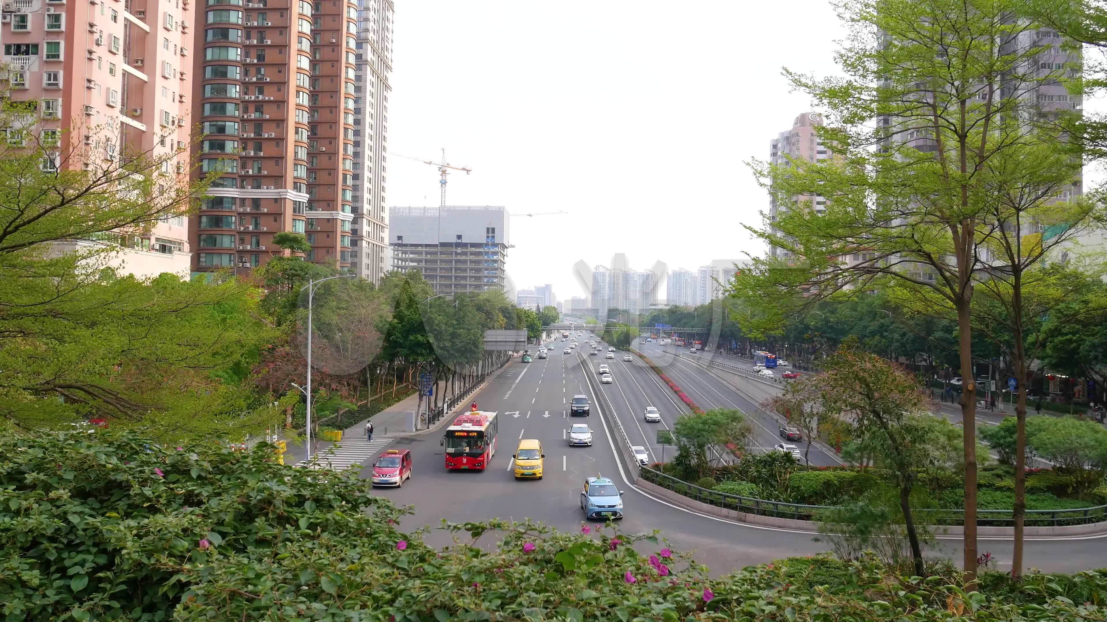 广州马路车流